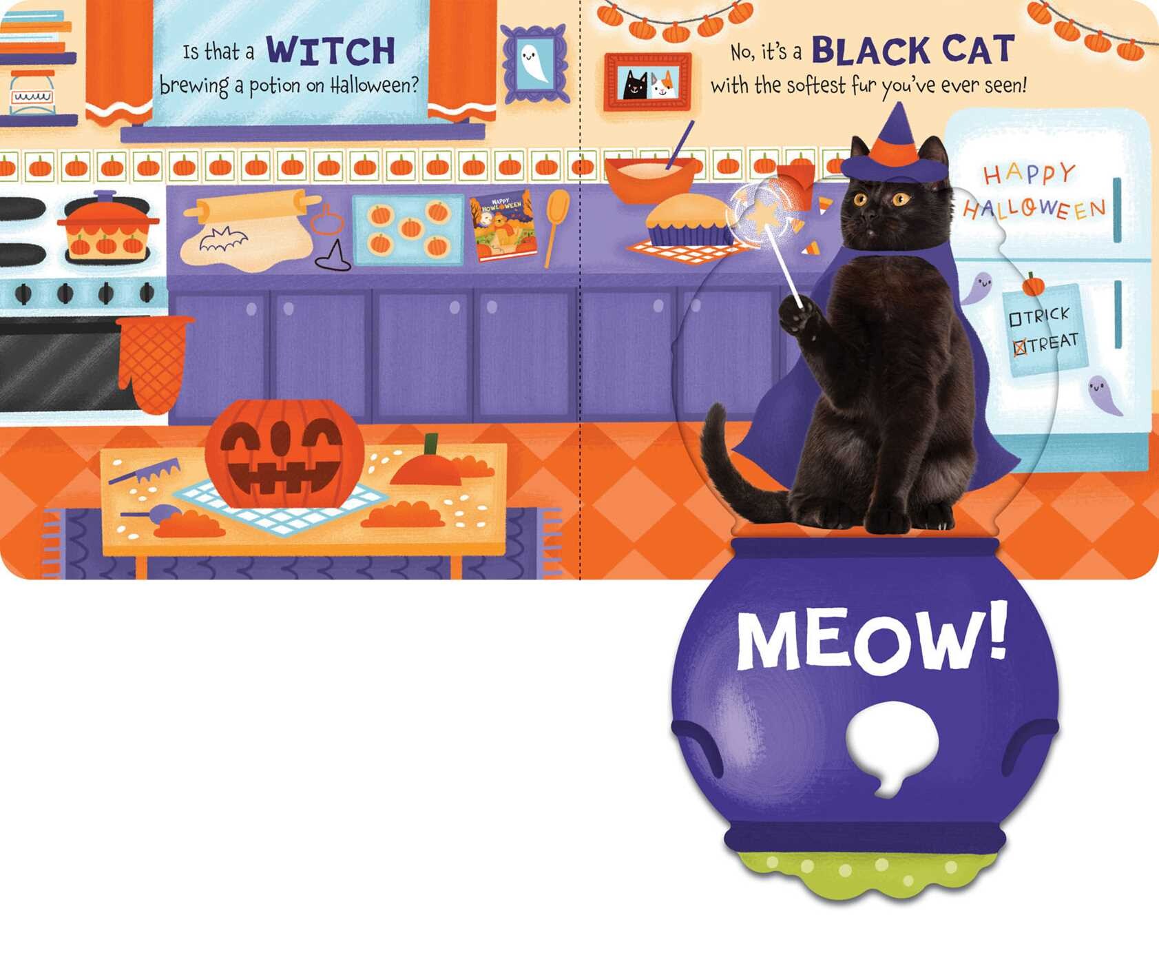 Happy Howloween (with Touch & Feel Surprise Flaps!)