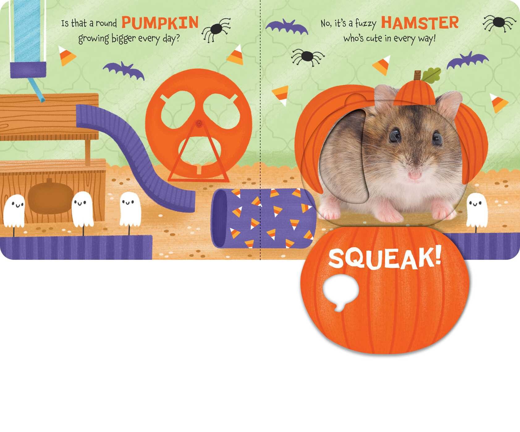 Happy Howloween (with Touch & Feel Surprise Flaps!)