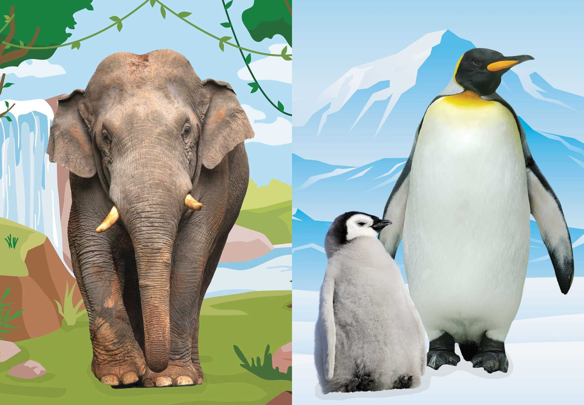 Super Silly Stickers: Go Wild! Sticker Book for Kids