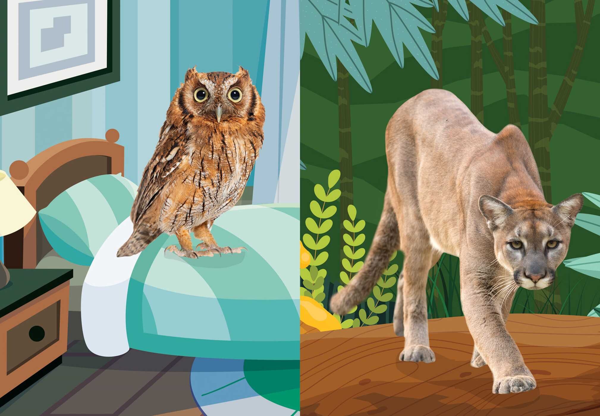 Super Silly Stickers: Go Wild! Sticker Book for Kids