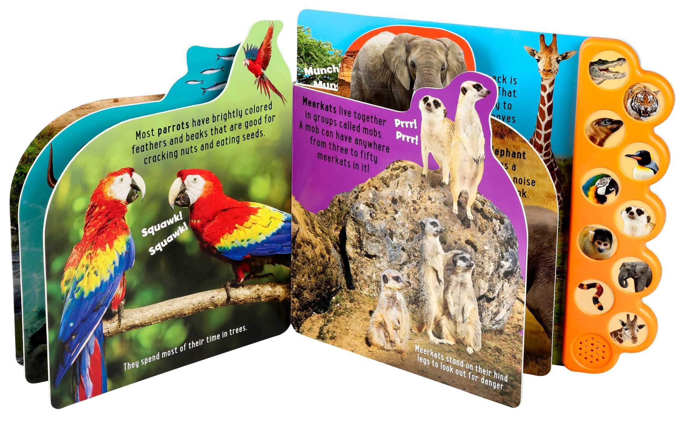 Discovery Kids: Roar at the Zoo!