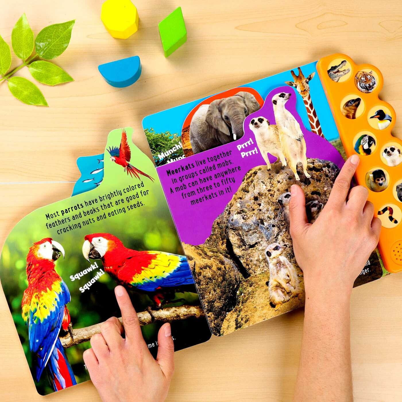 Discovery Kids: Roar at the Zoo!