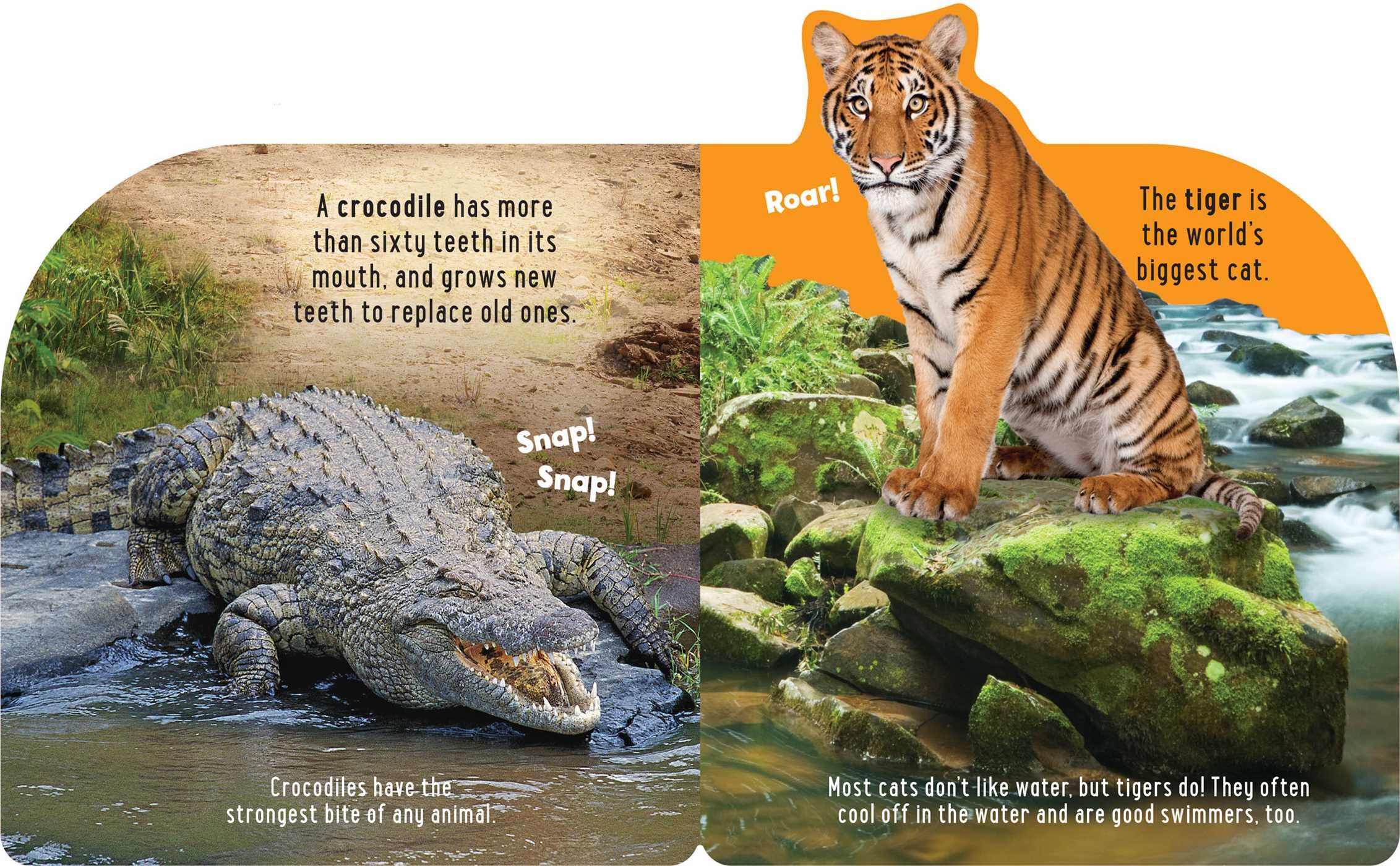 Discovery Kids: Roar at the Zoo!
