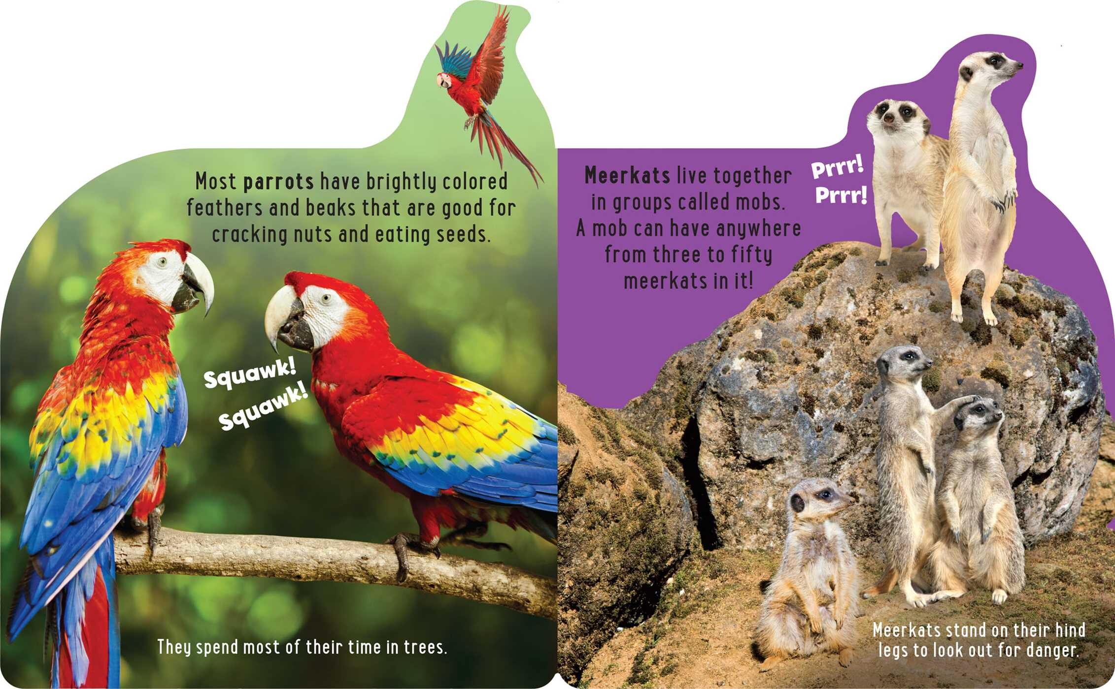 Discovery Kids: Roar at the Zoo!