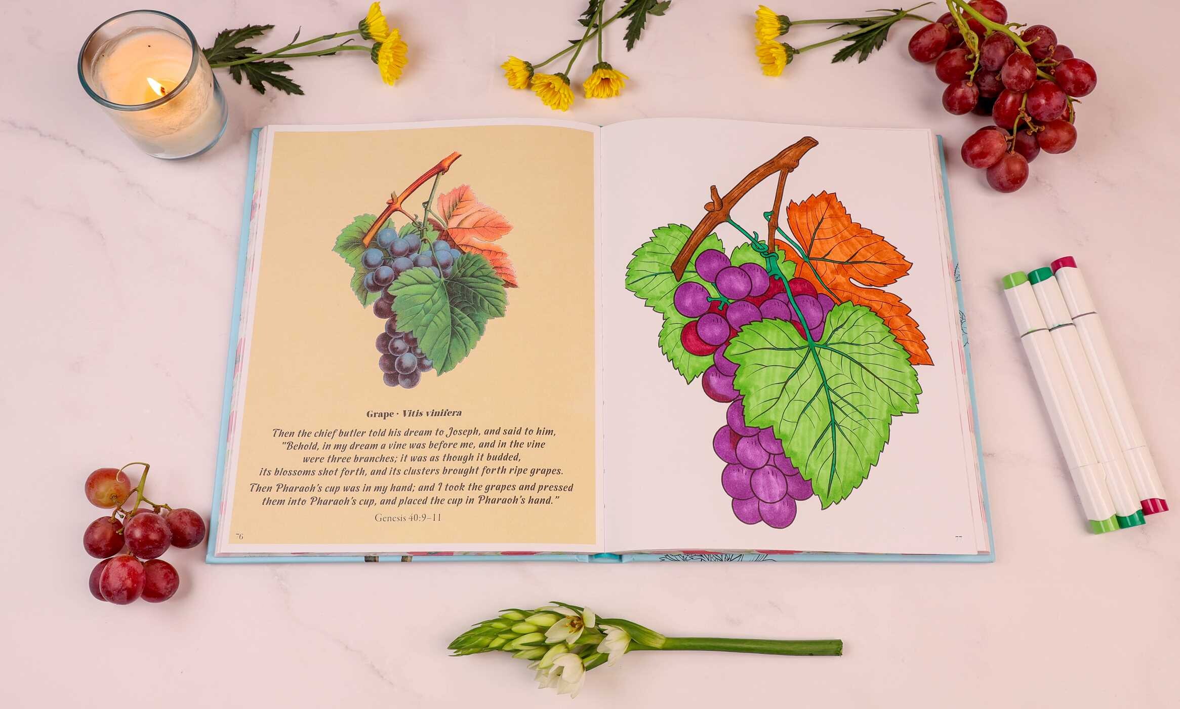 Flowers in the Bible Coloring Book