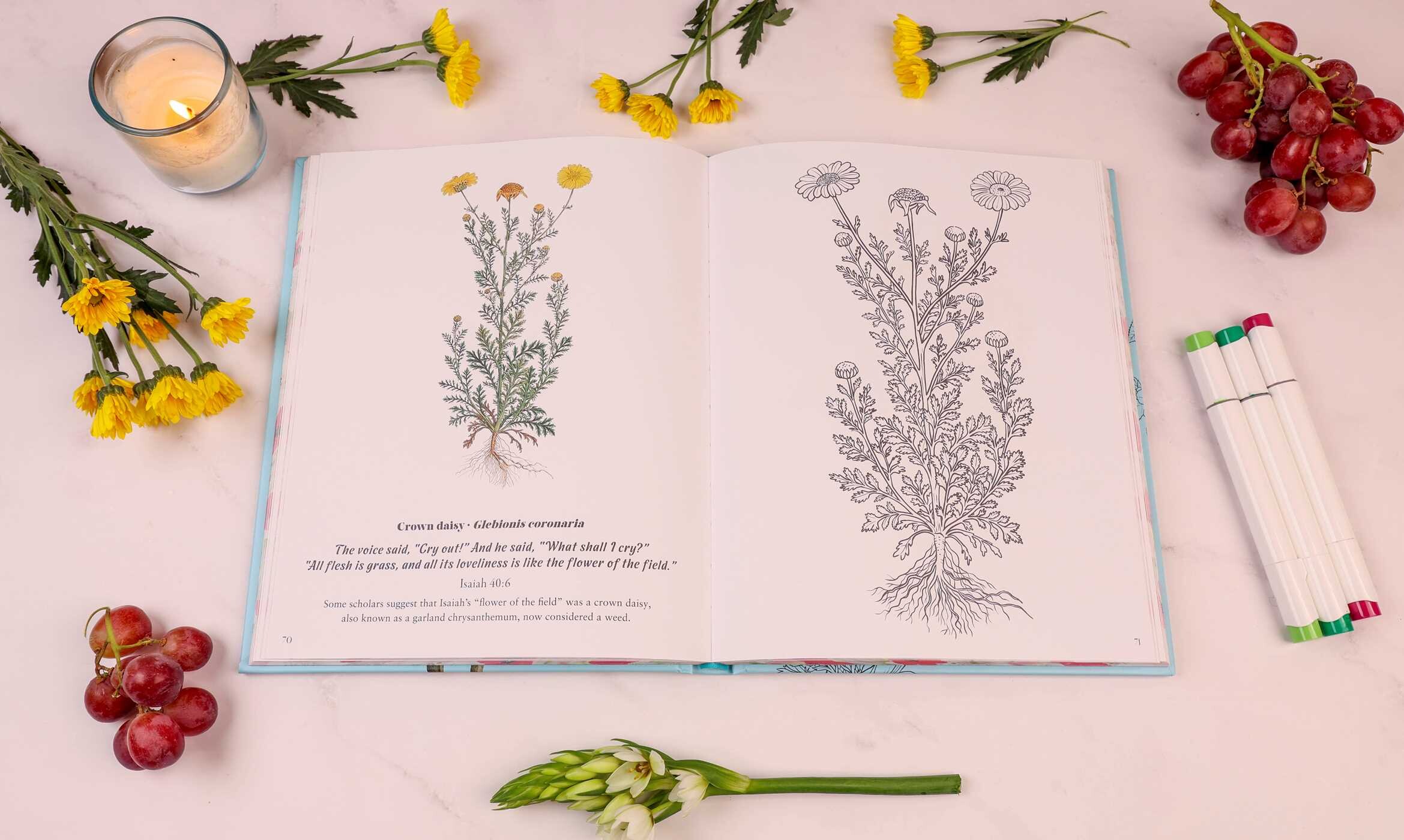 Flowers in the Bible Coloring Book
