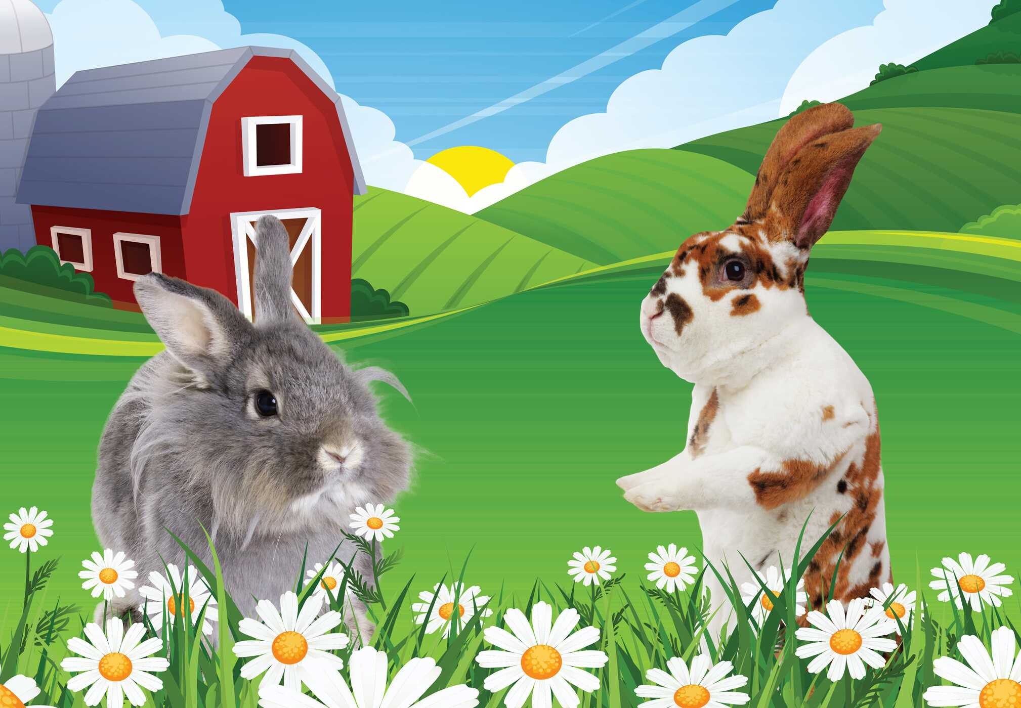 Super Silly Stickers: Bunny Business