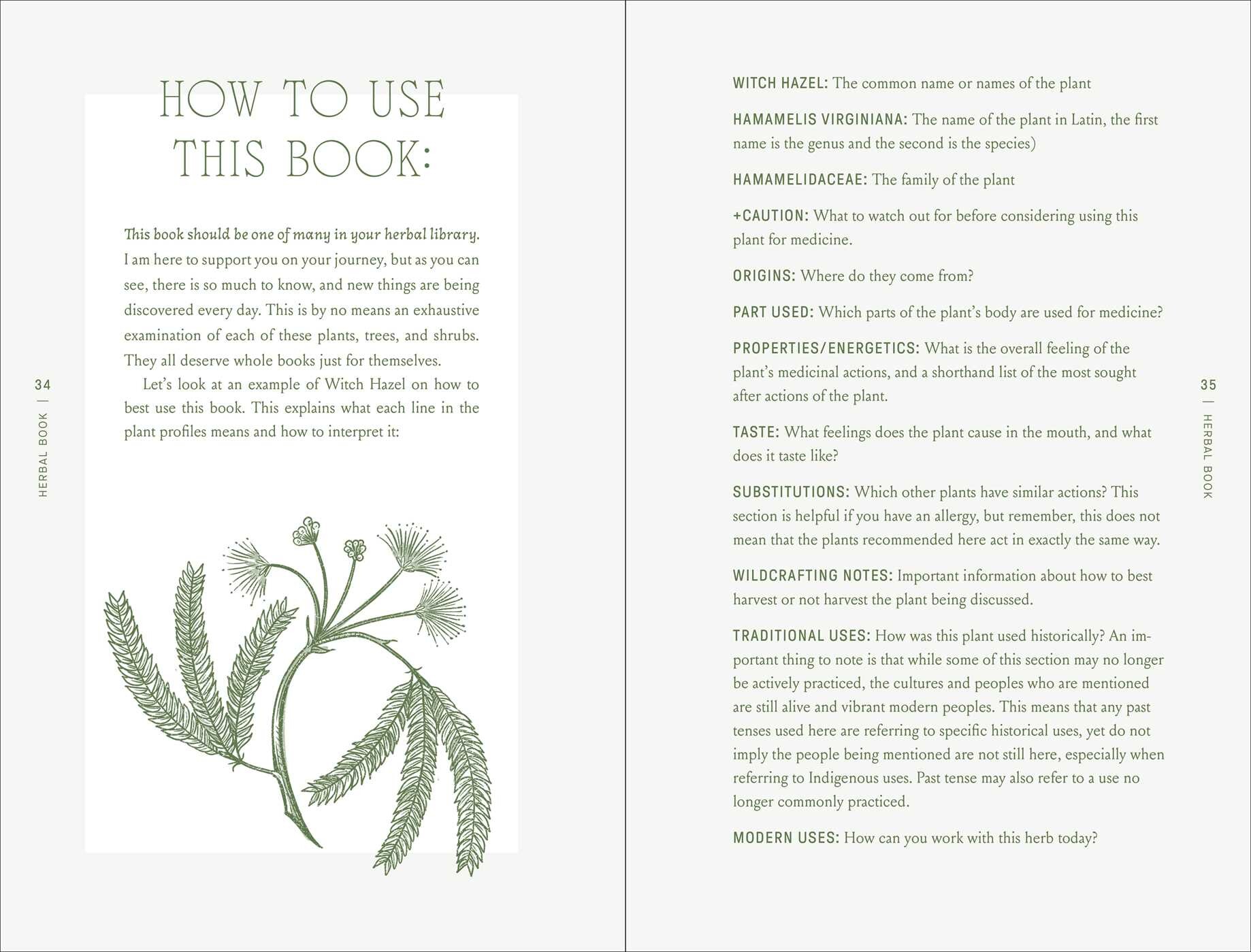 Complete Folk Herbal