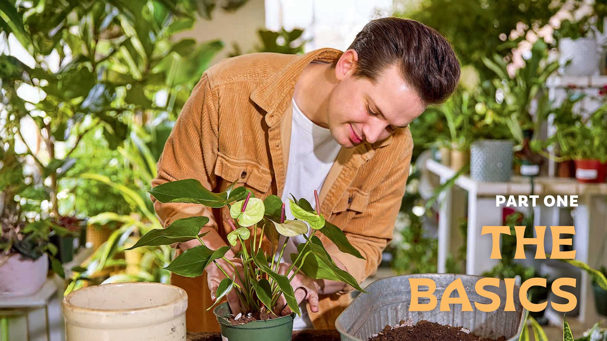 For the Love of Houseplants