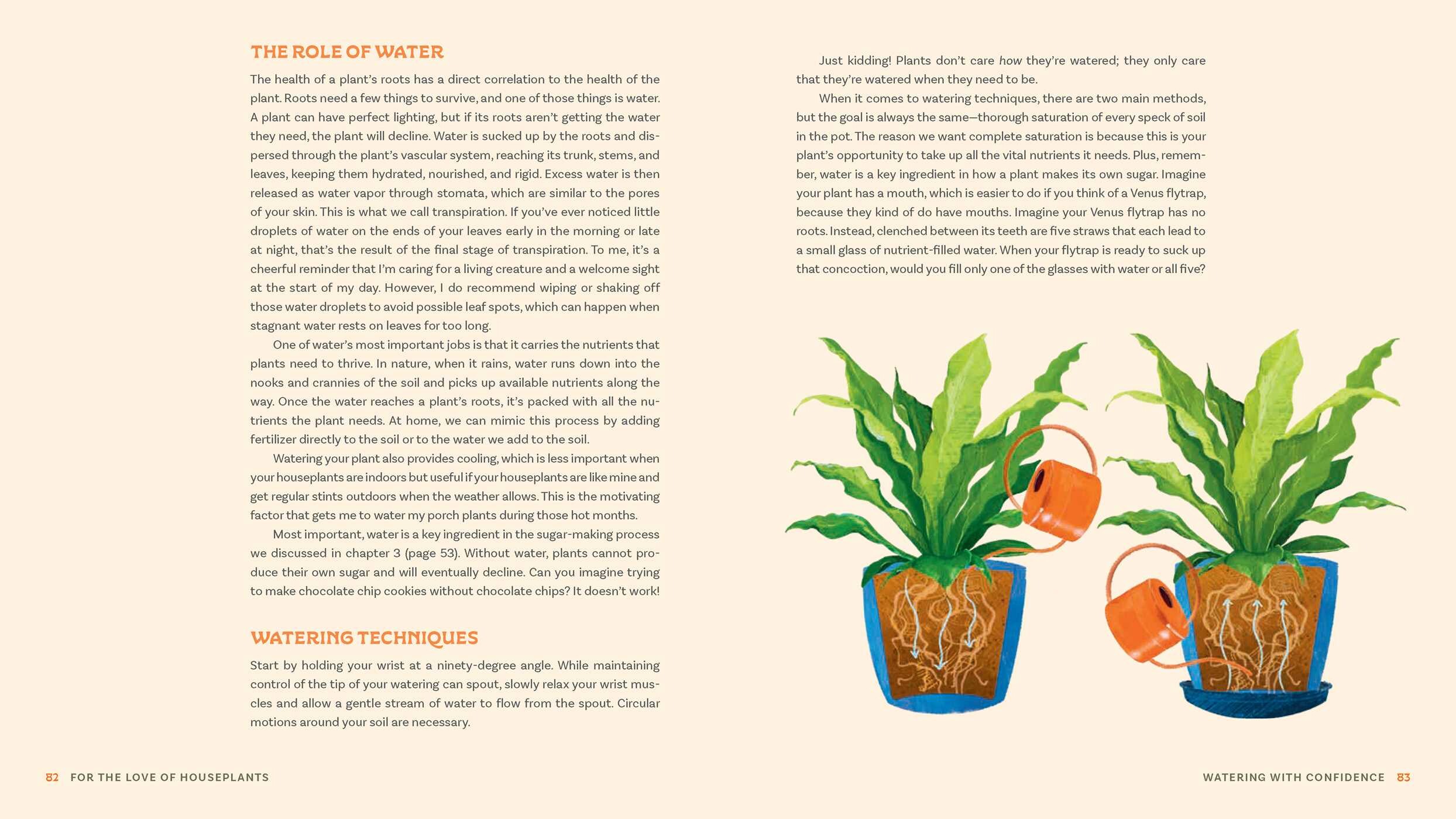 For the Love of Houseplants
