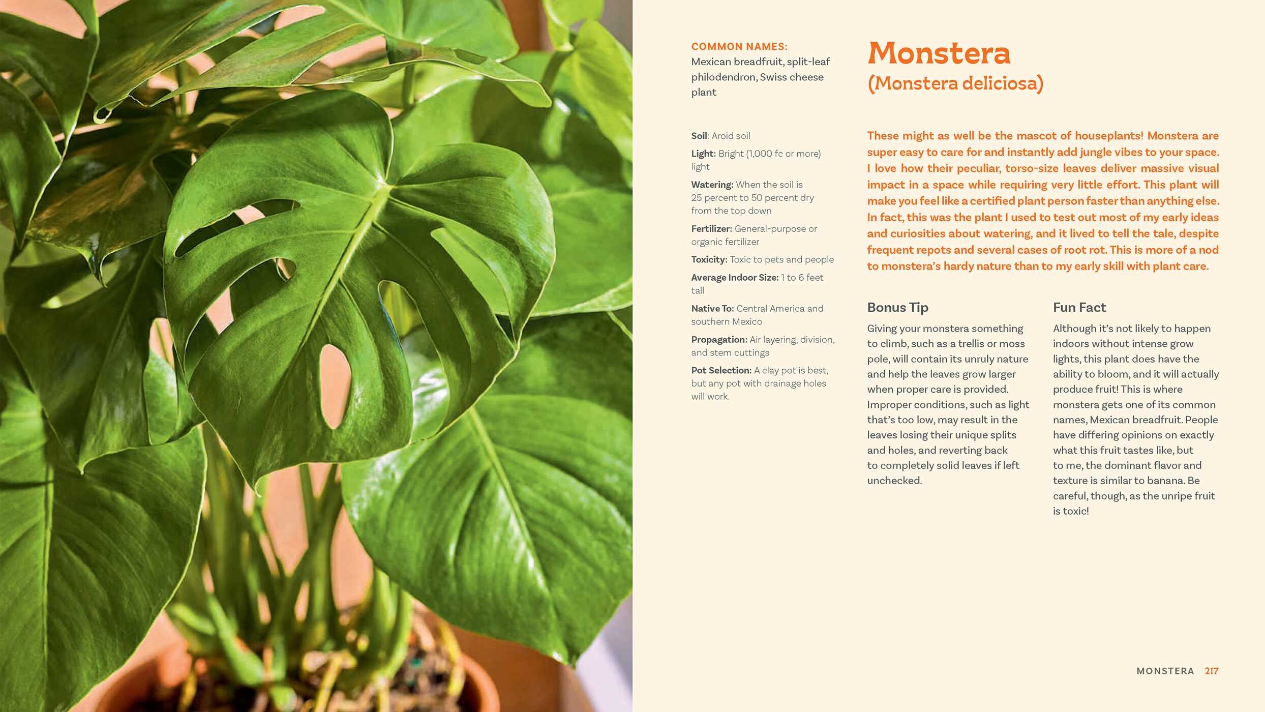 For the Love of Houseplants
