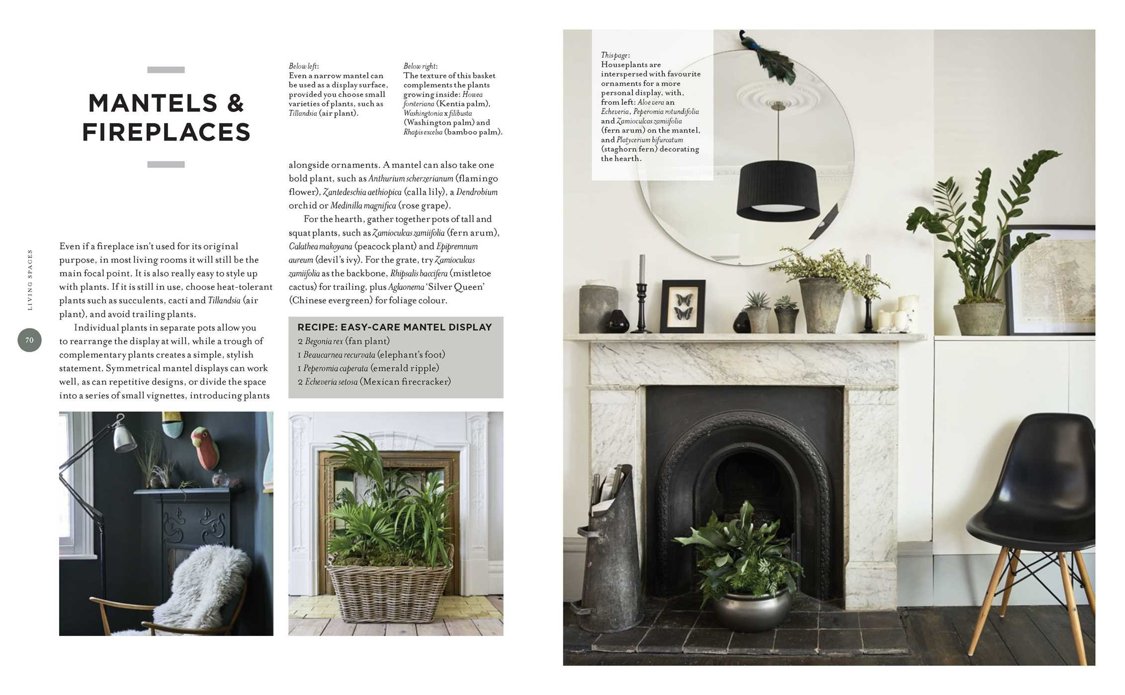 At Home with Plants