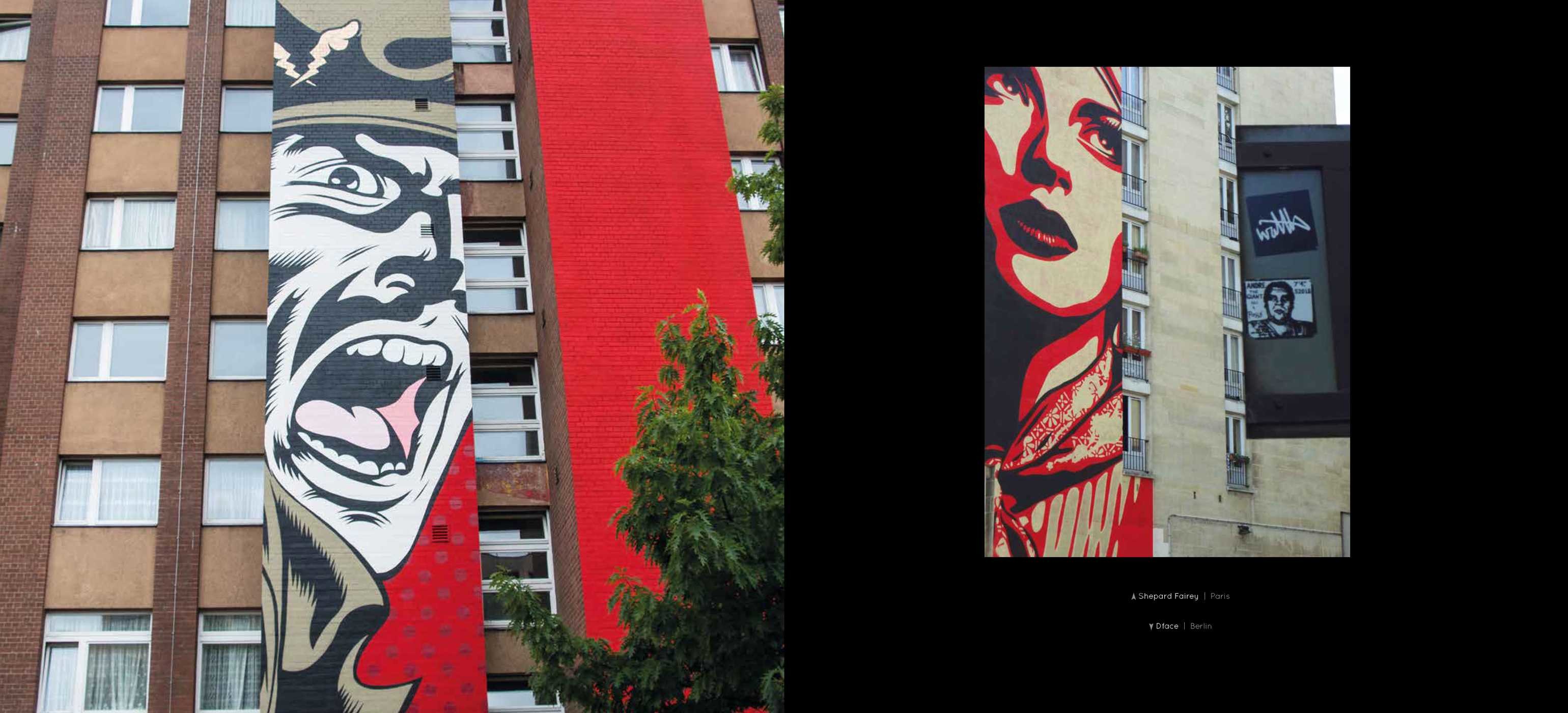 The Urban Canvas Book by G James Daichendt, Ron English Official