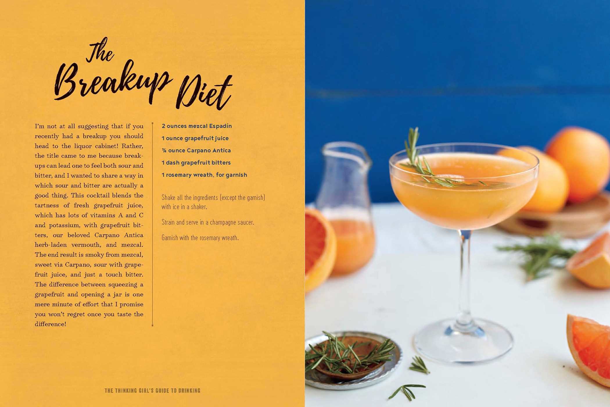 Thinking Girl's Guide to Drinking