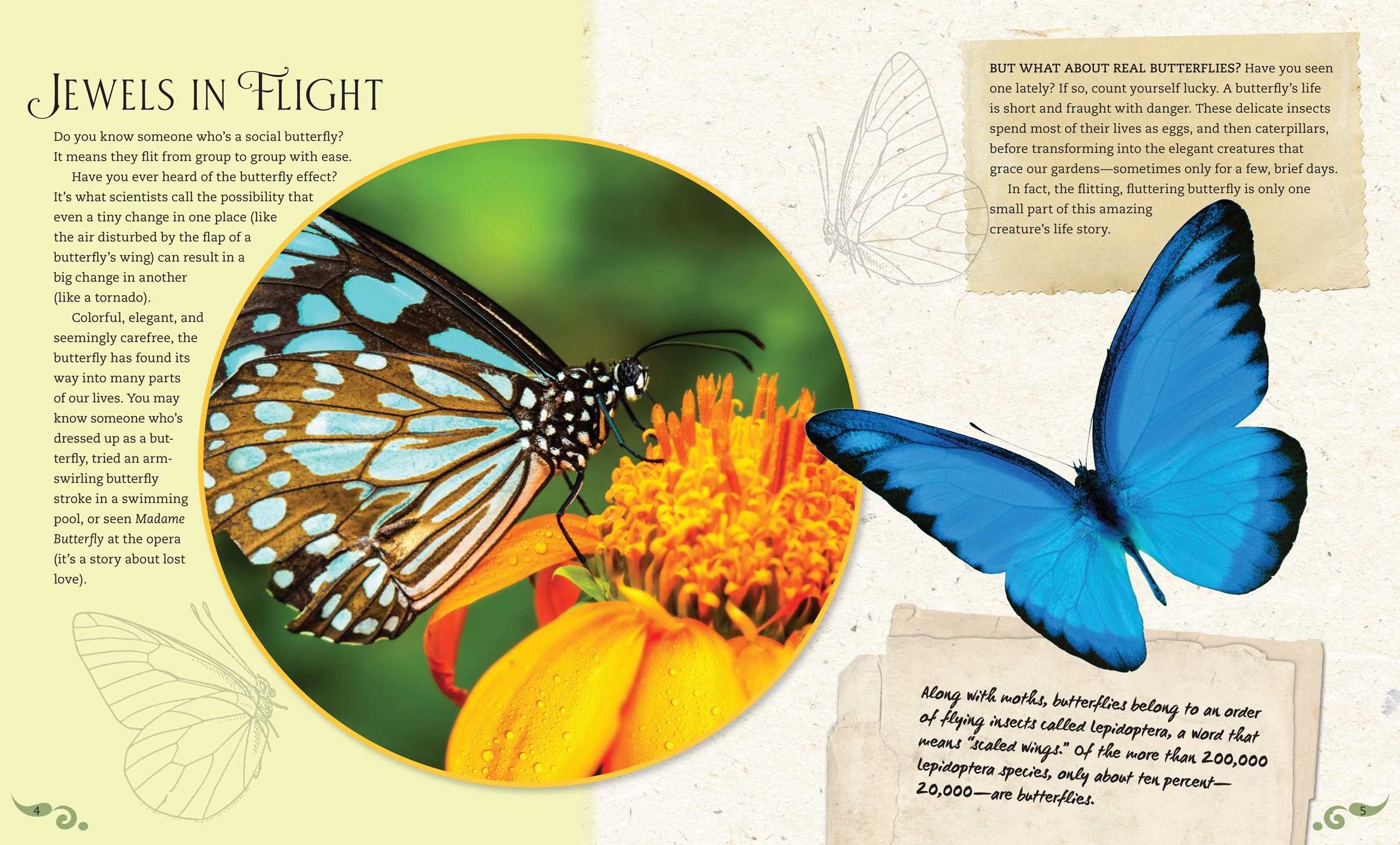 IncrediBuilds: Butterflies Deluxe Book and Model Set