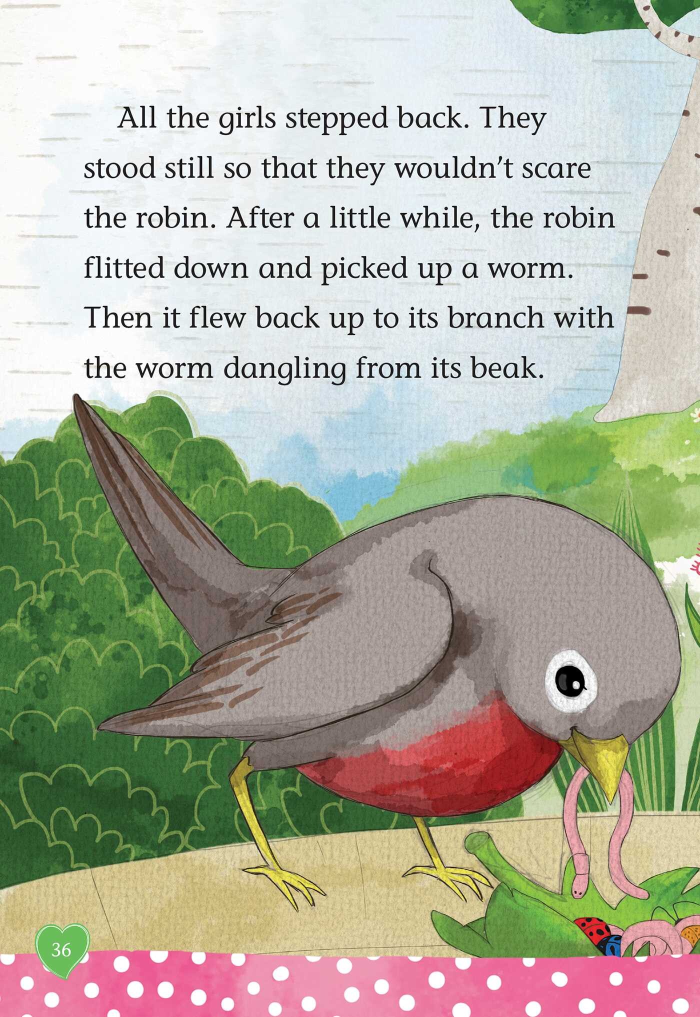 Riddle of the Robin
