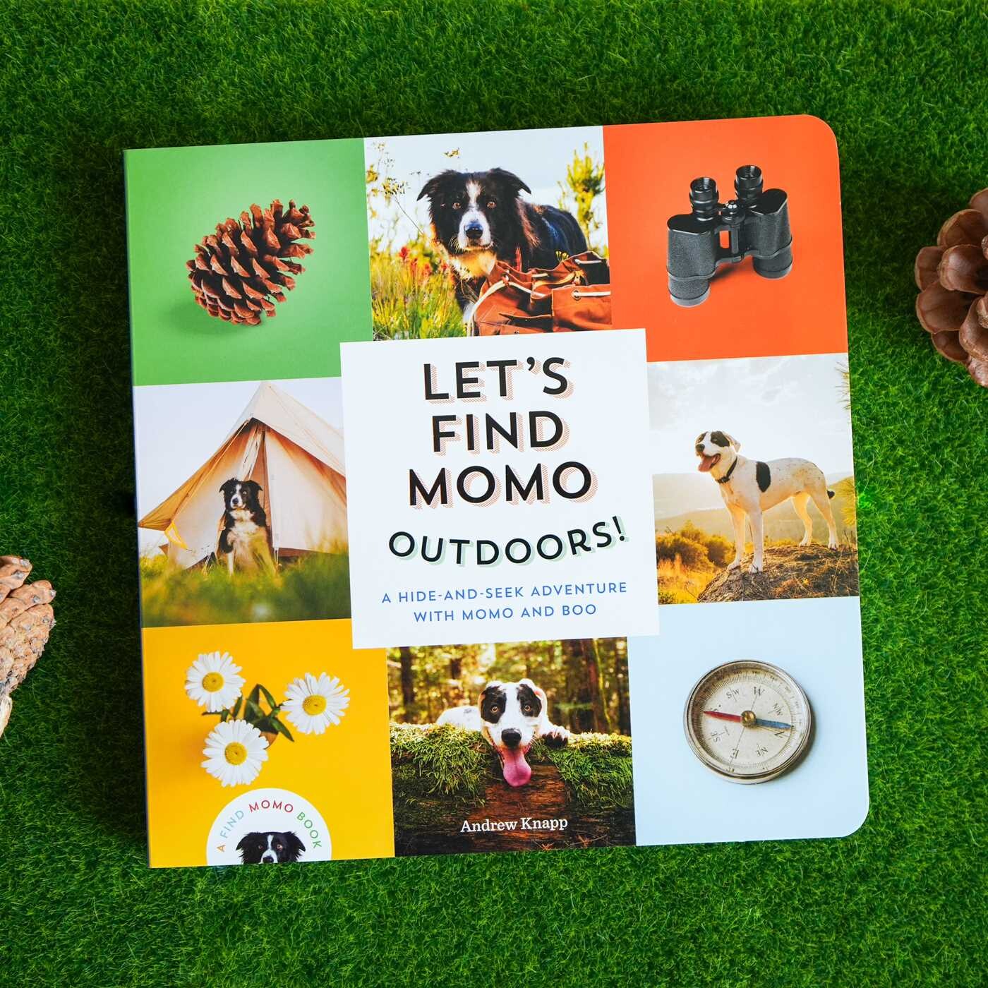 Let's Find Momo Outdoors!