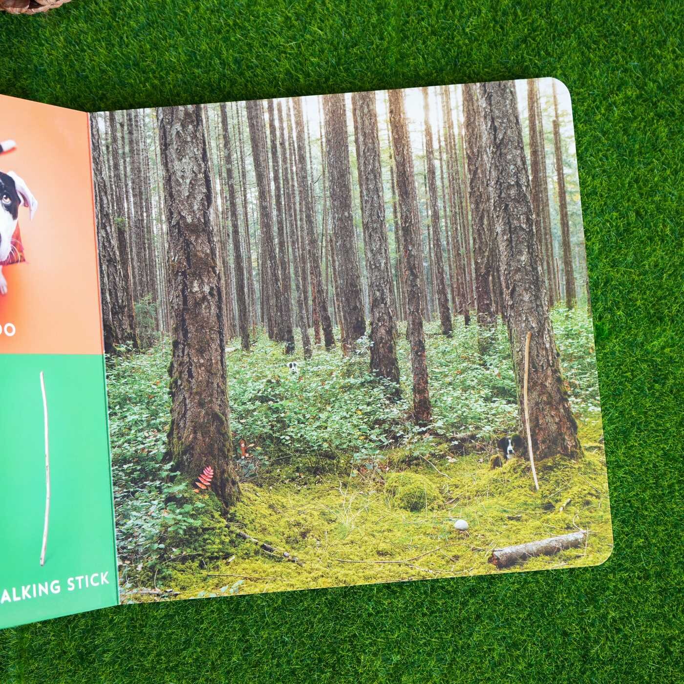 Let's Find Momo Outdoors!