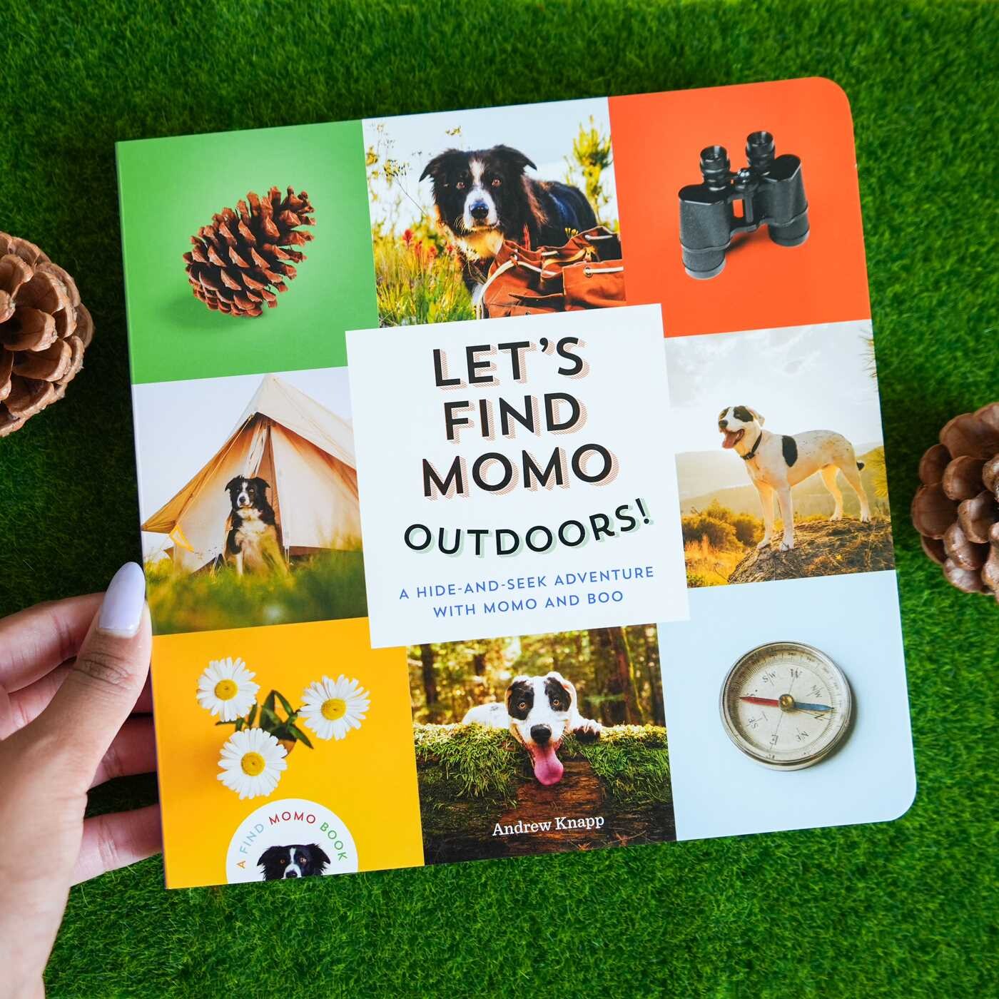 Let's Find Momo Outdoors!