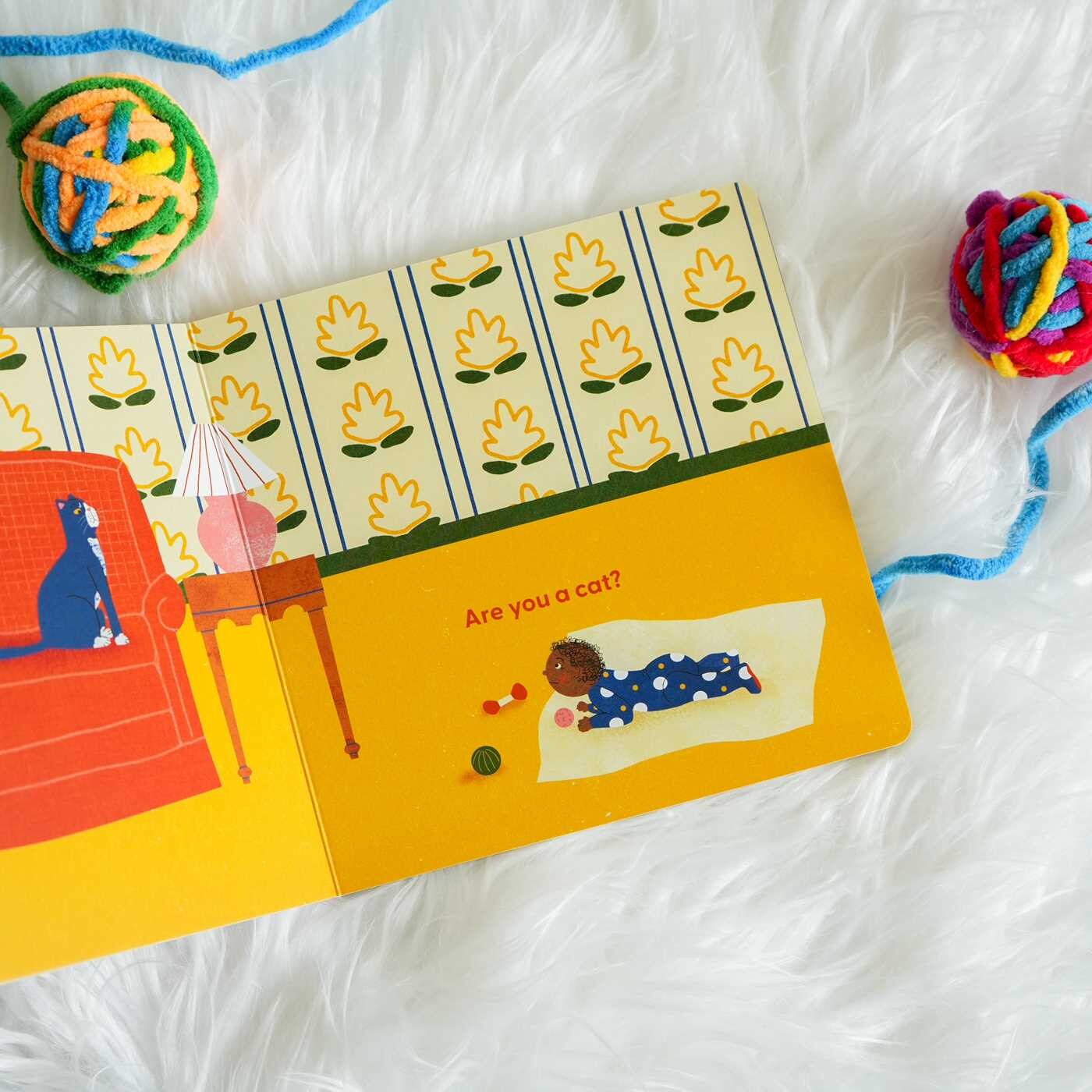 Cat's First Baby