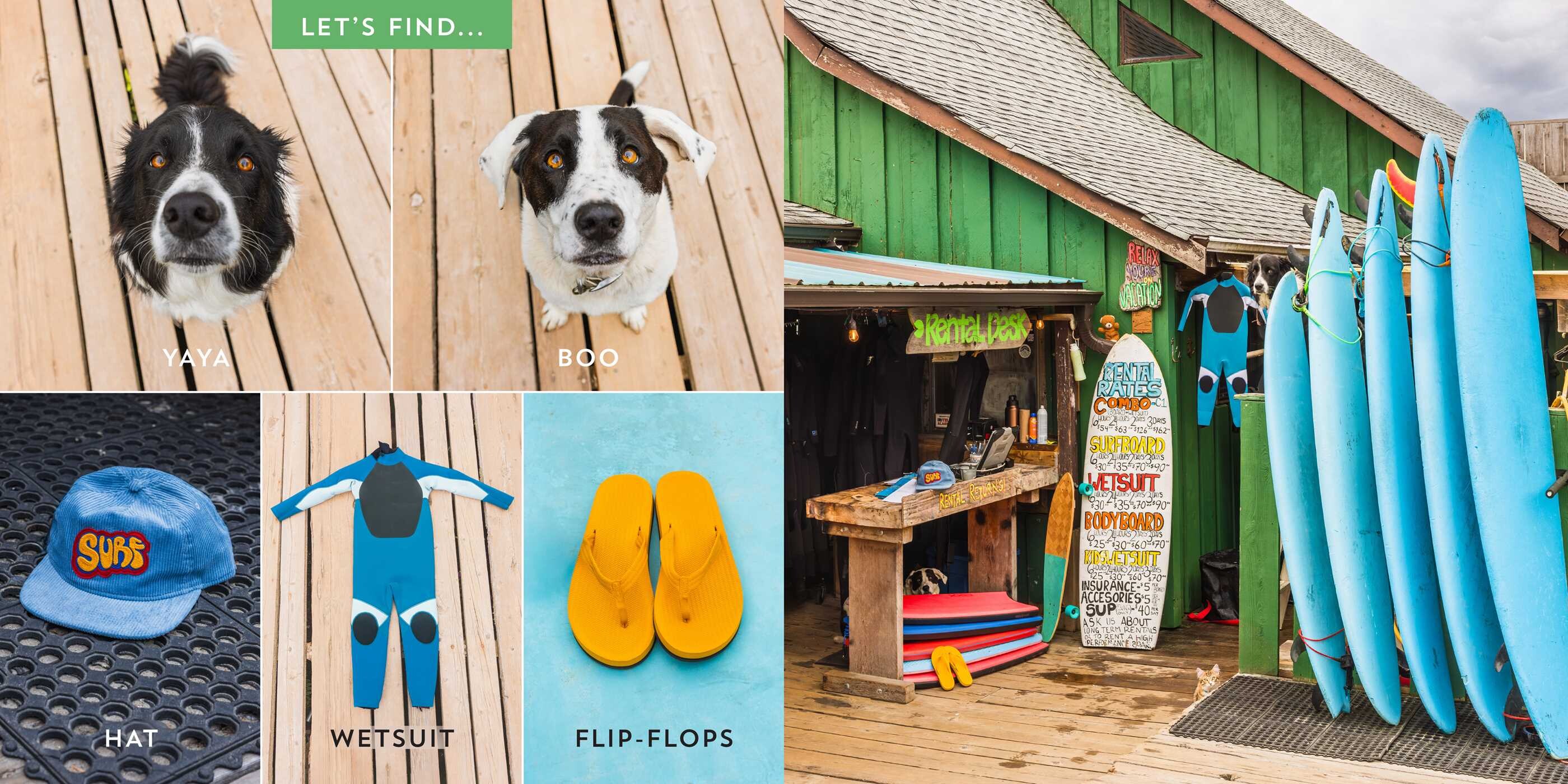 Let's Find Yaya and Boo at the Beach!