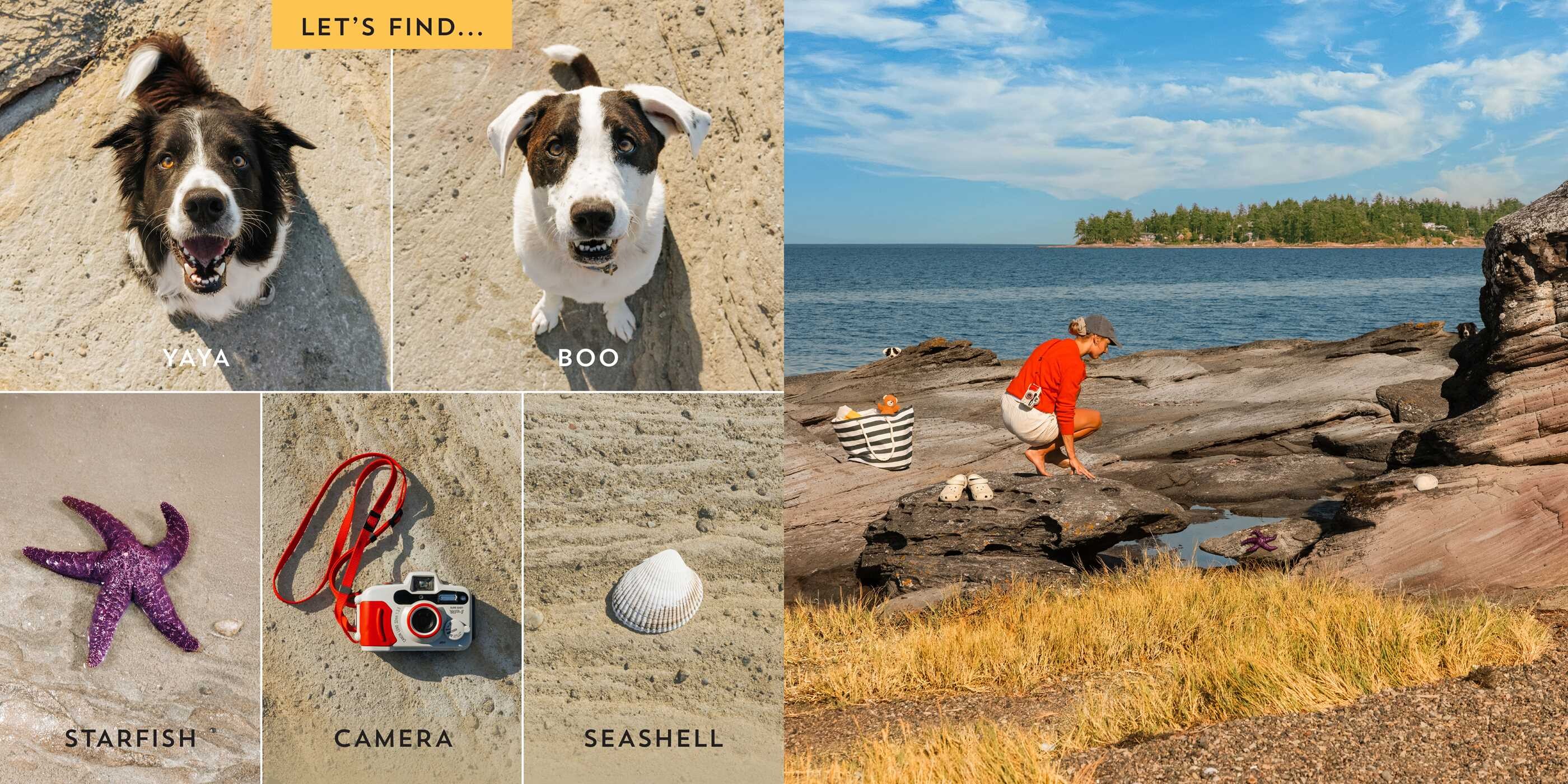 Let's Find Yaya and Boo at the Beach!