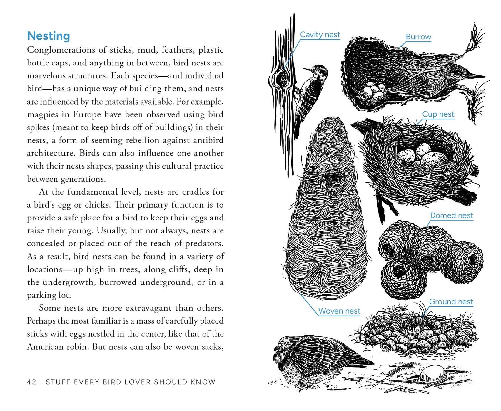 Stuff Every Bird Lover Should Know