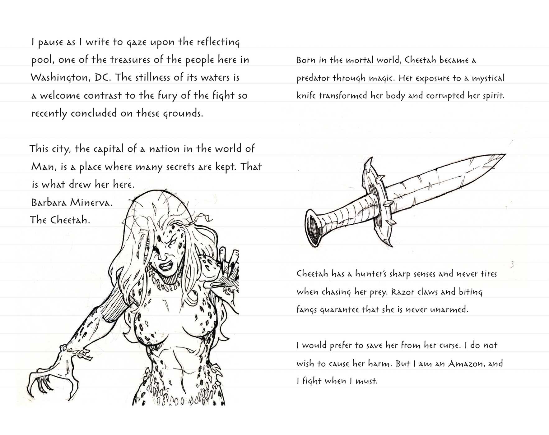 Wonder Woman Ruled Pocket Journal
