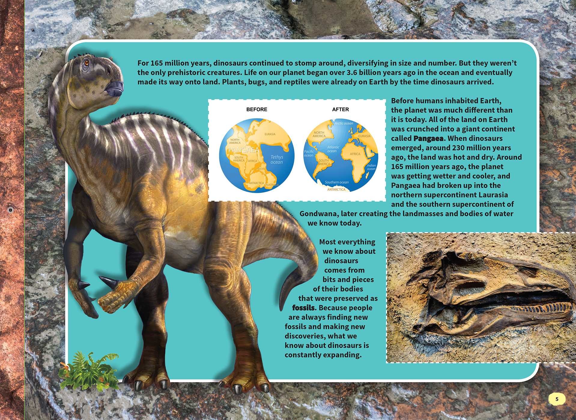 Jigsaw Journey Smithsonian Dinosaurs Other Prehistoric Animals 9781684123179in01