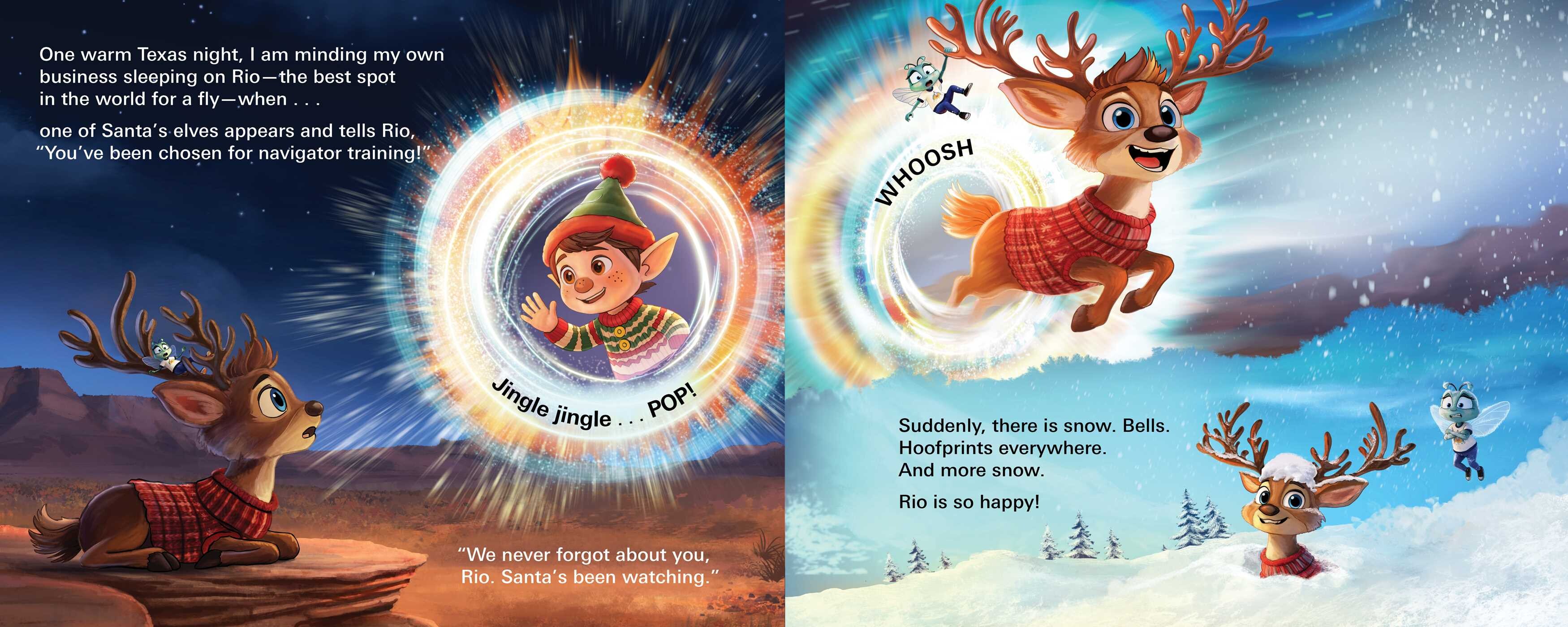 Fly Who Flew to the North Pole