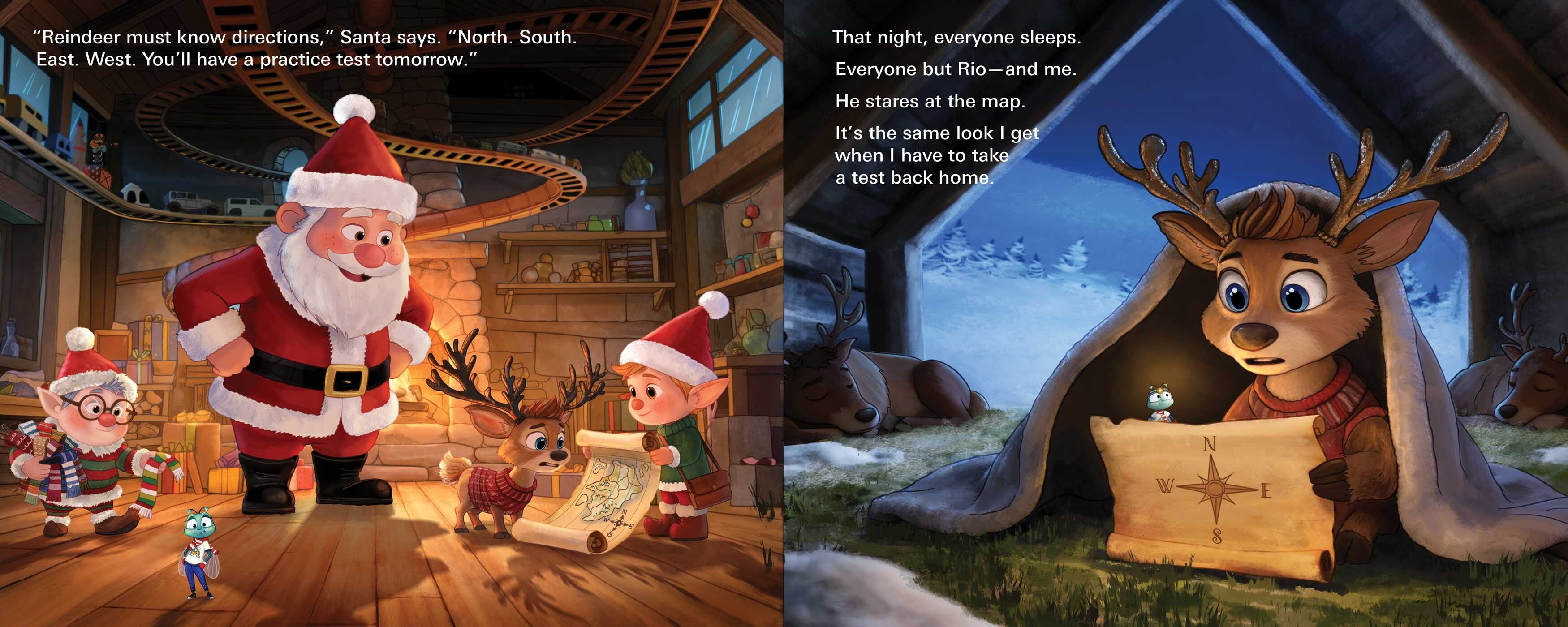 Fly Who Flew to the North Pole