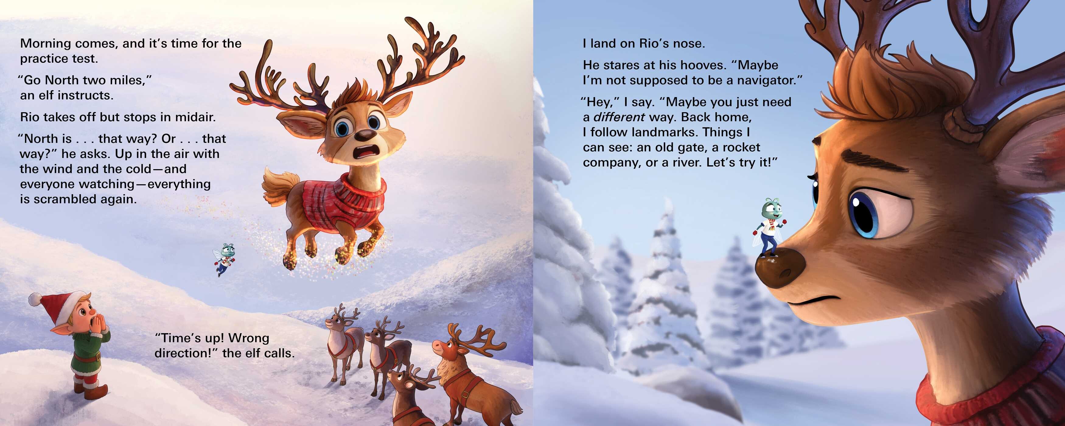 Fly Who Flew to the North Pole