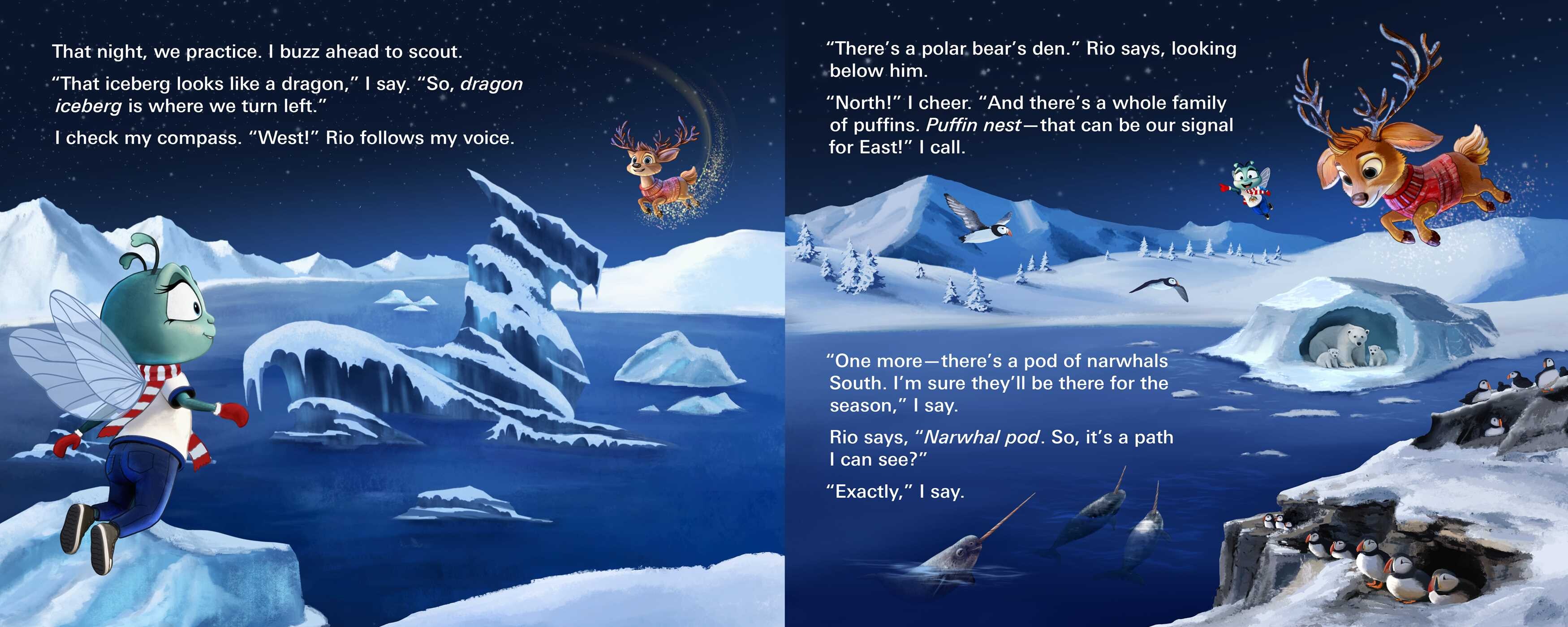 Fly Who Flew to the North Pole