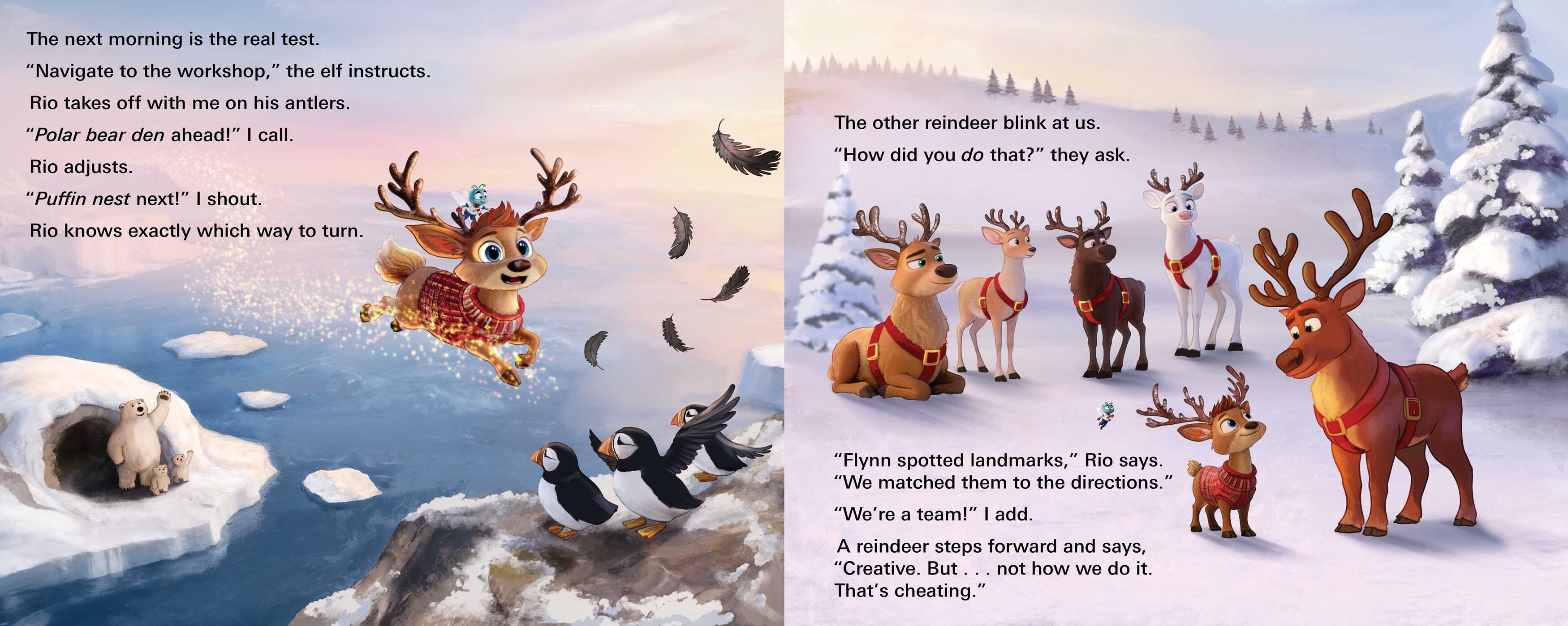 Fly Who Flew to the North Pole