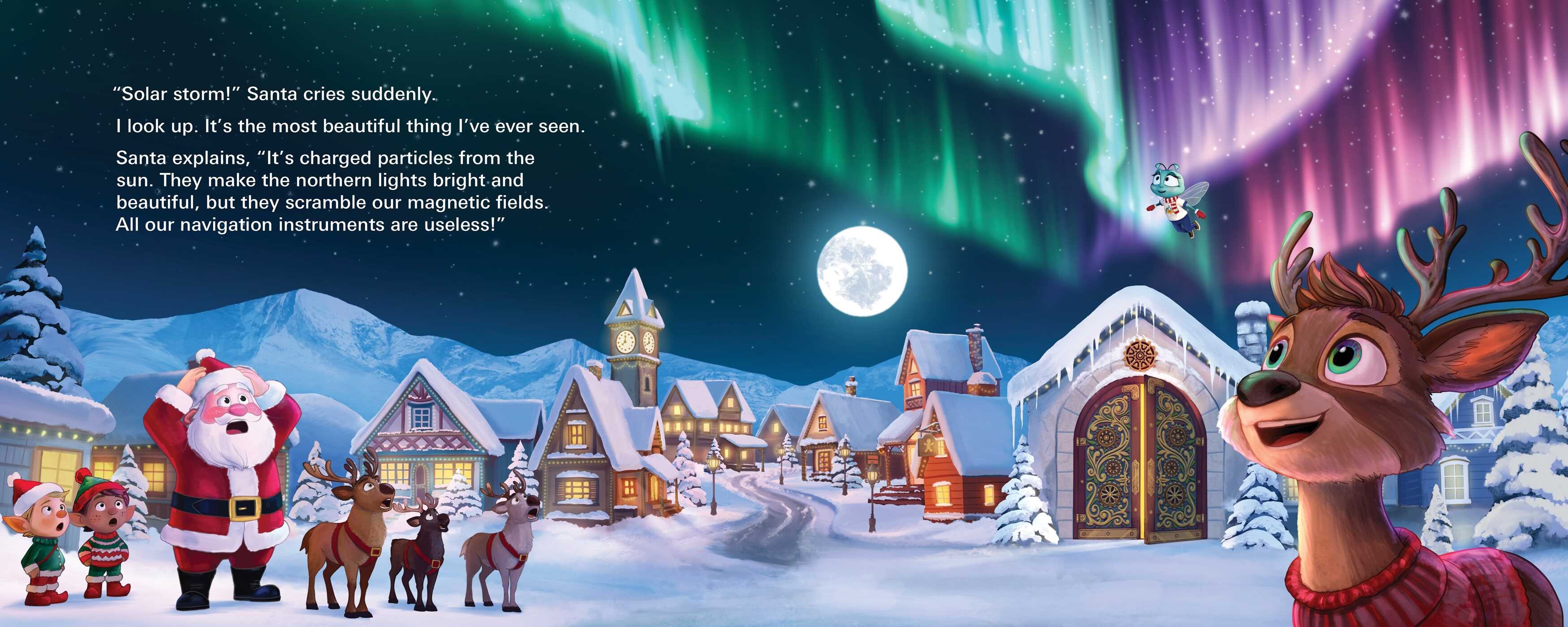 Fly Who Flew to the North Pole