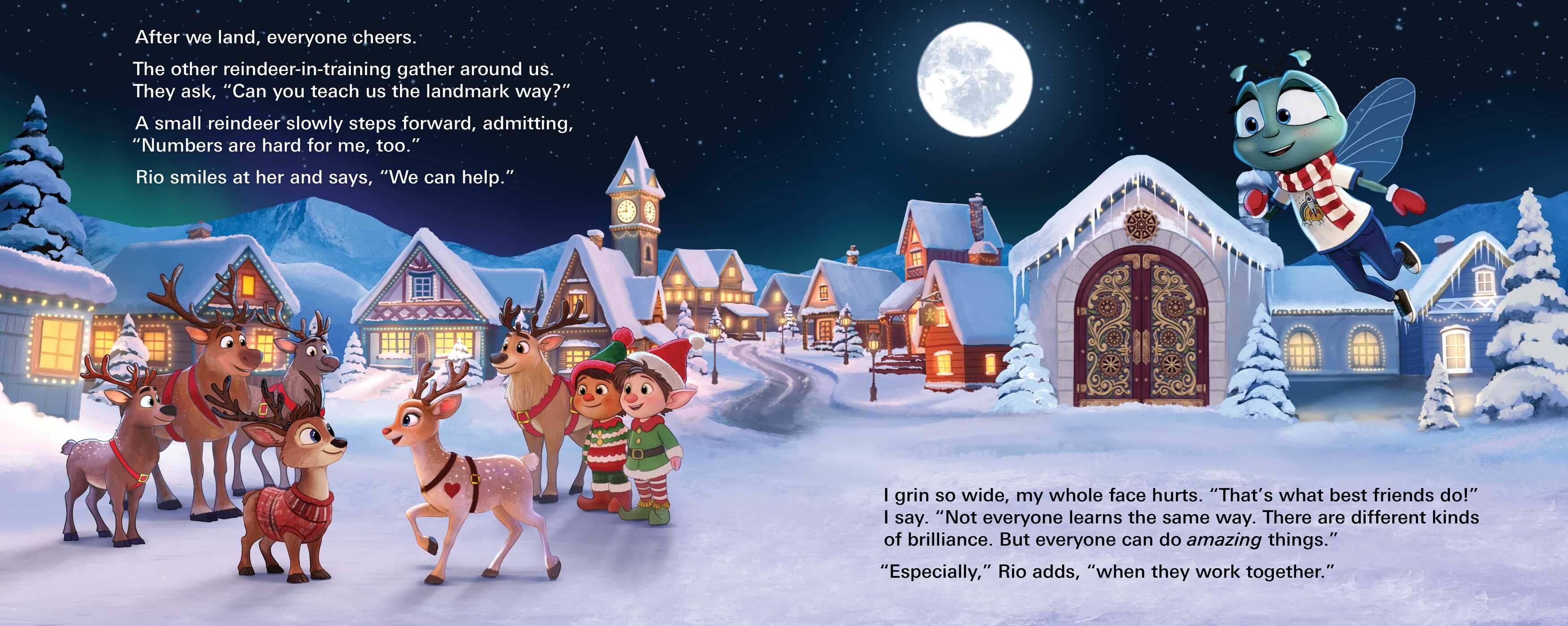 Fly Who Flew to the North Pole