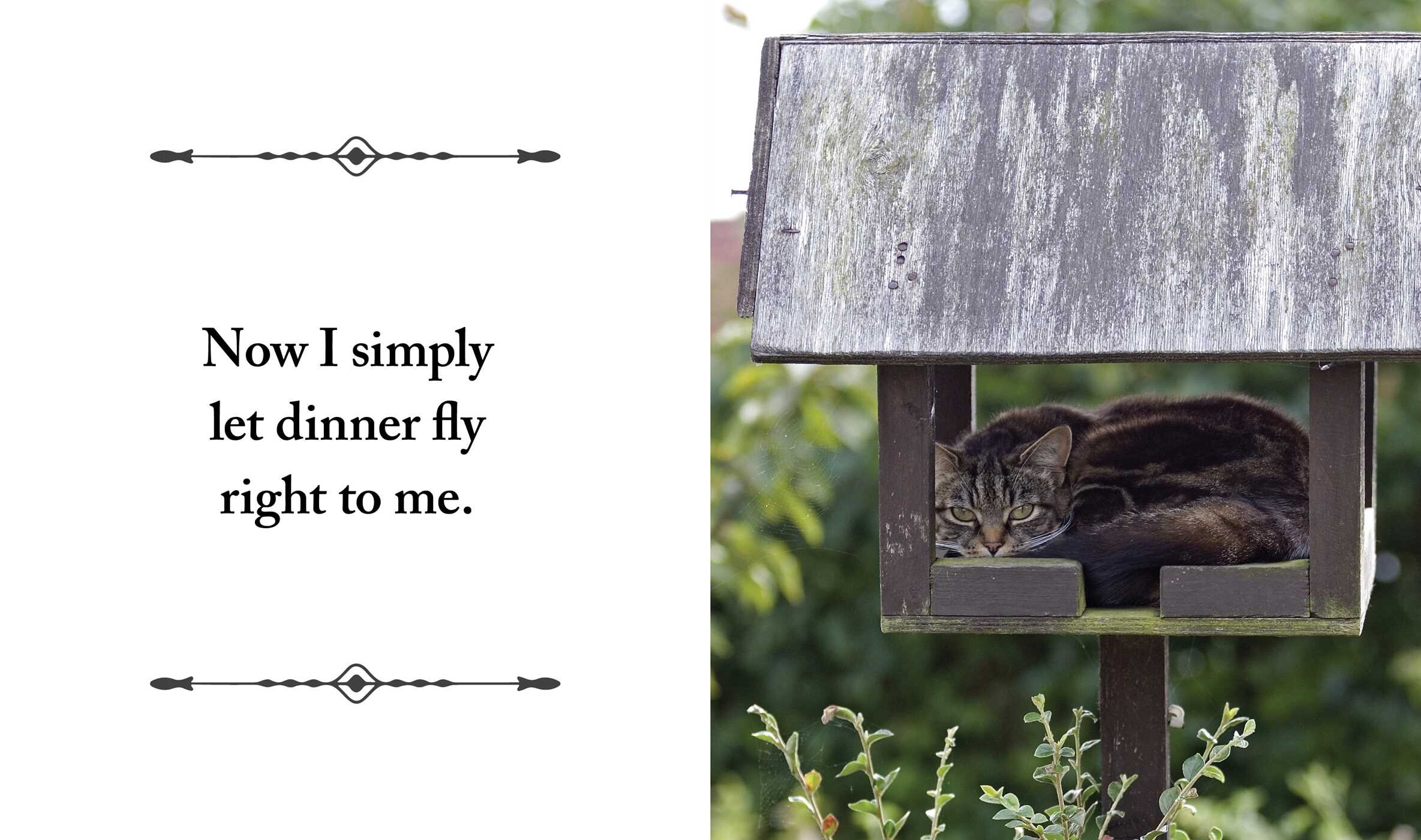 I Purr, Therefore I Am