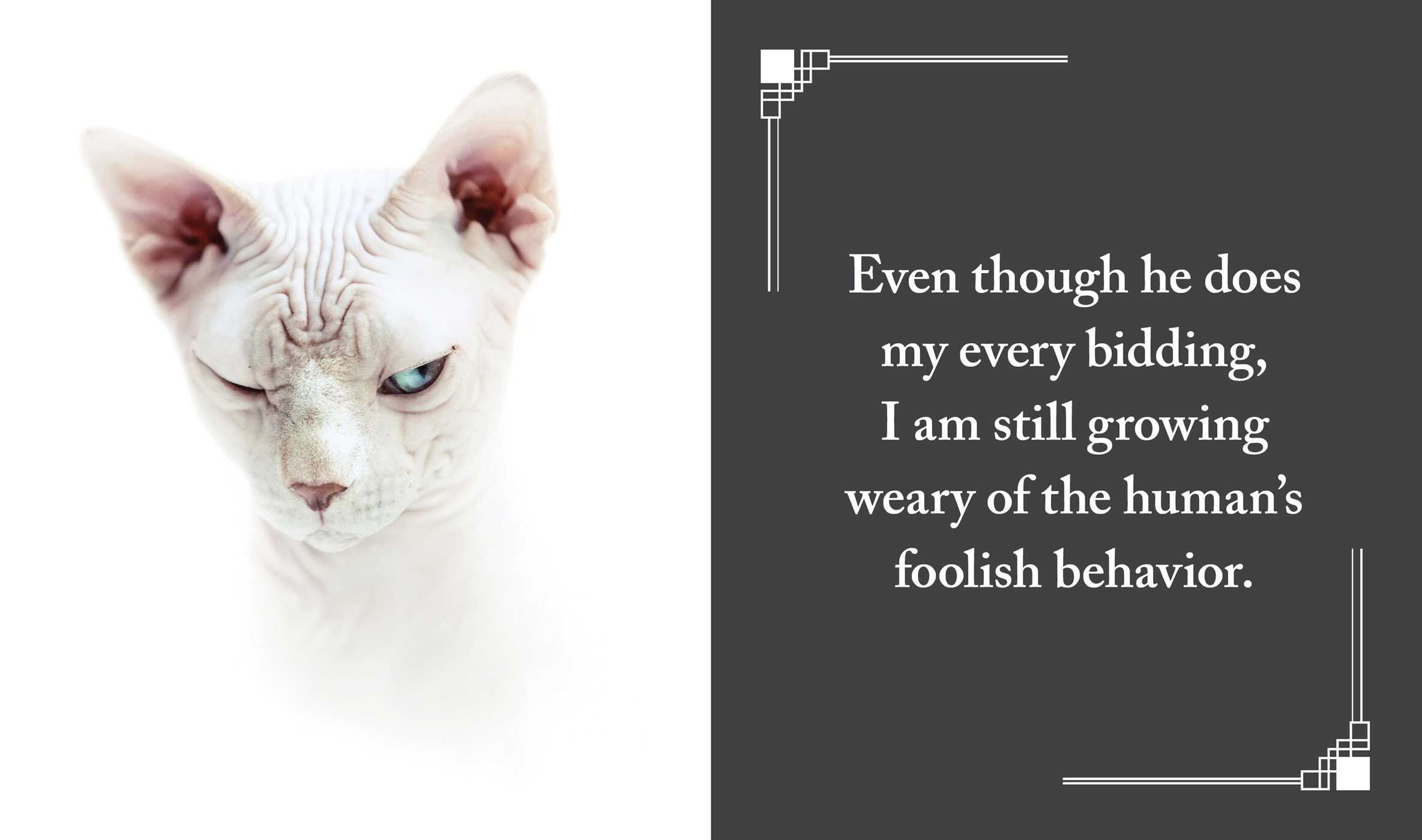 I Purr, Therefore I Am