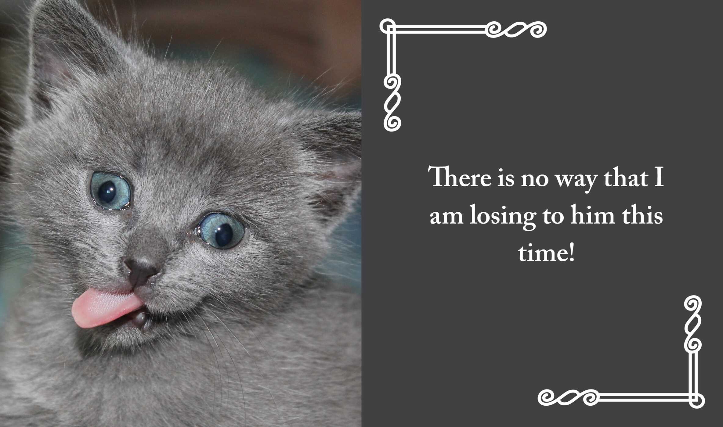 I Purr, Therefore I Am