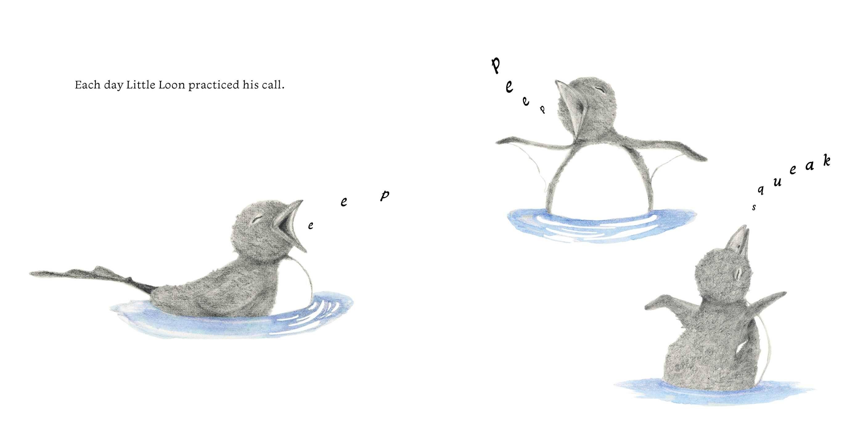 Little Loon Finds His Voice