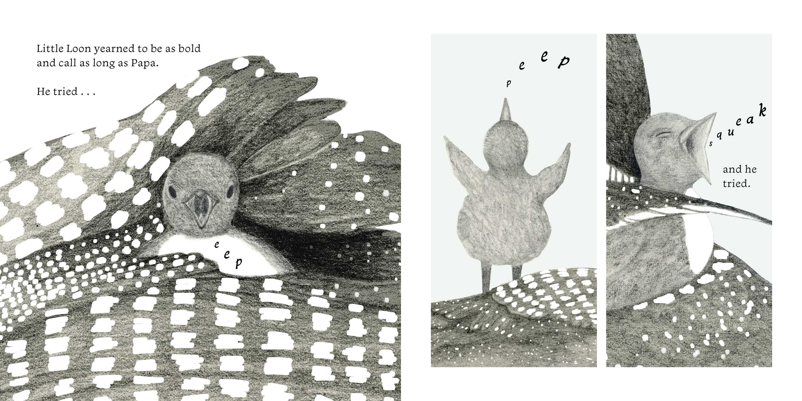 Little Loon Finds His Voice
