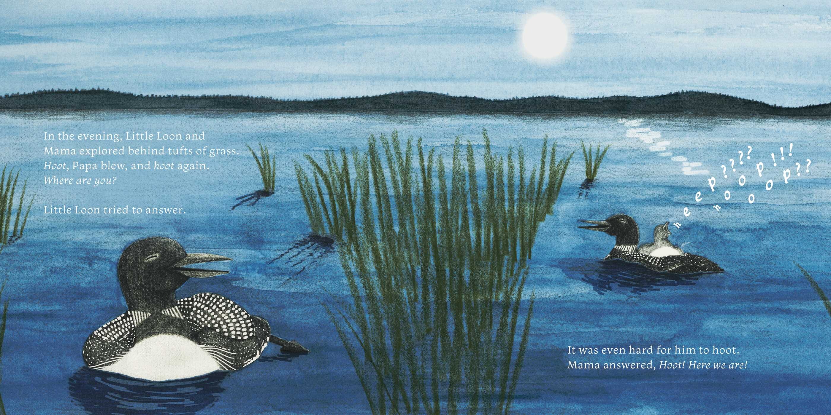 Little Loon Finds His Voice