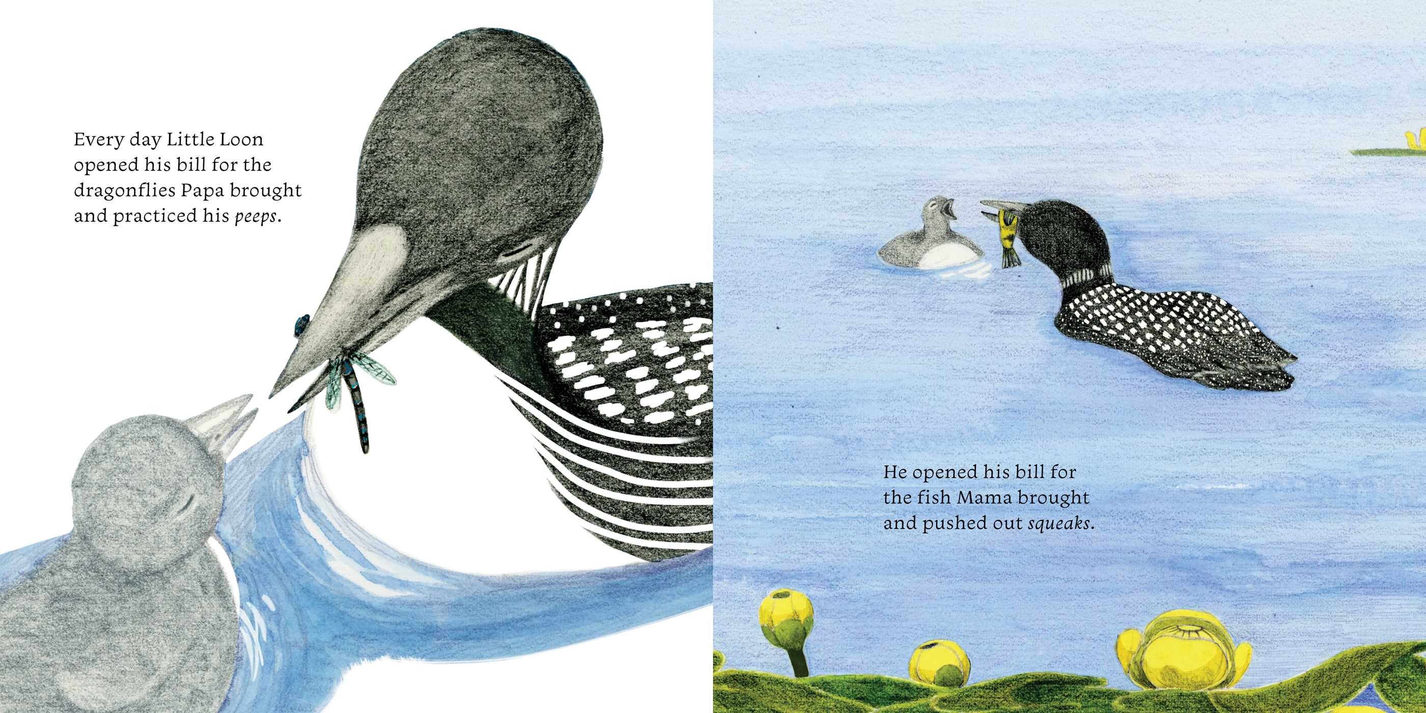 Little Loon Finds His Voice