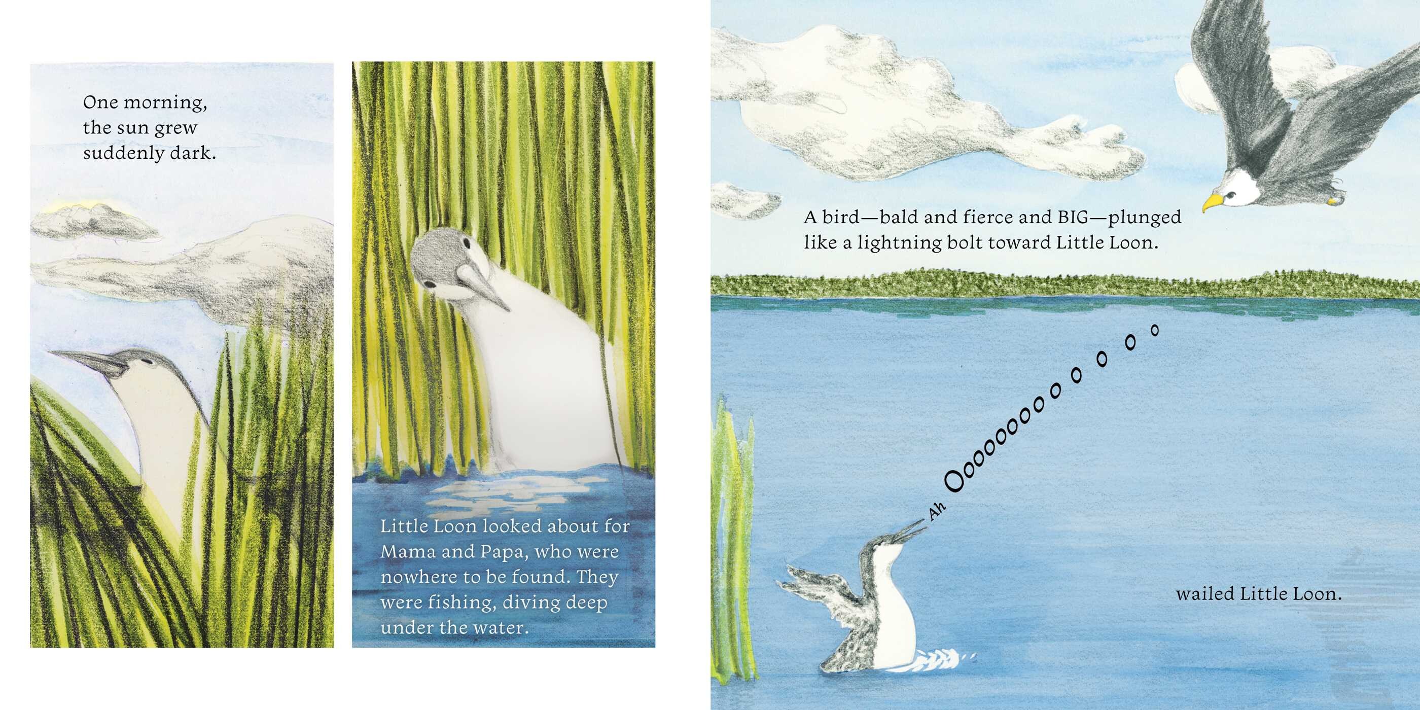 Little Loon Finds His Voice