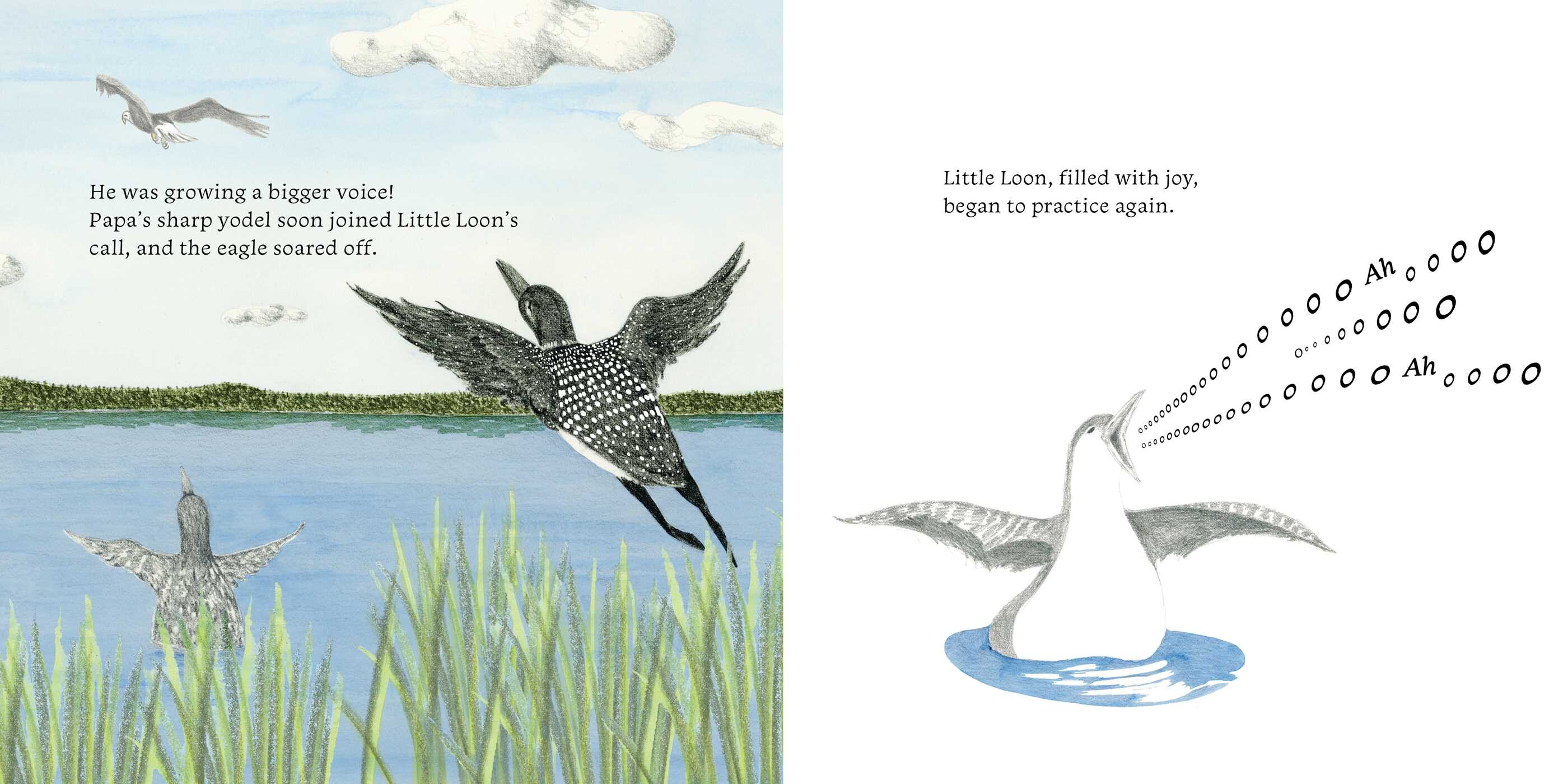 Little Loon Finds His Voice