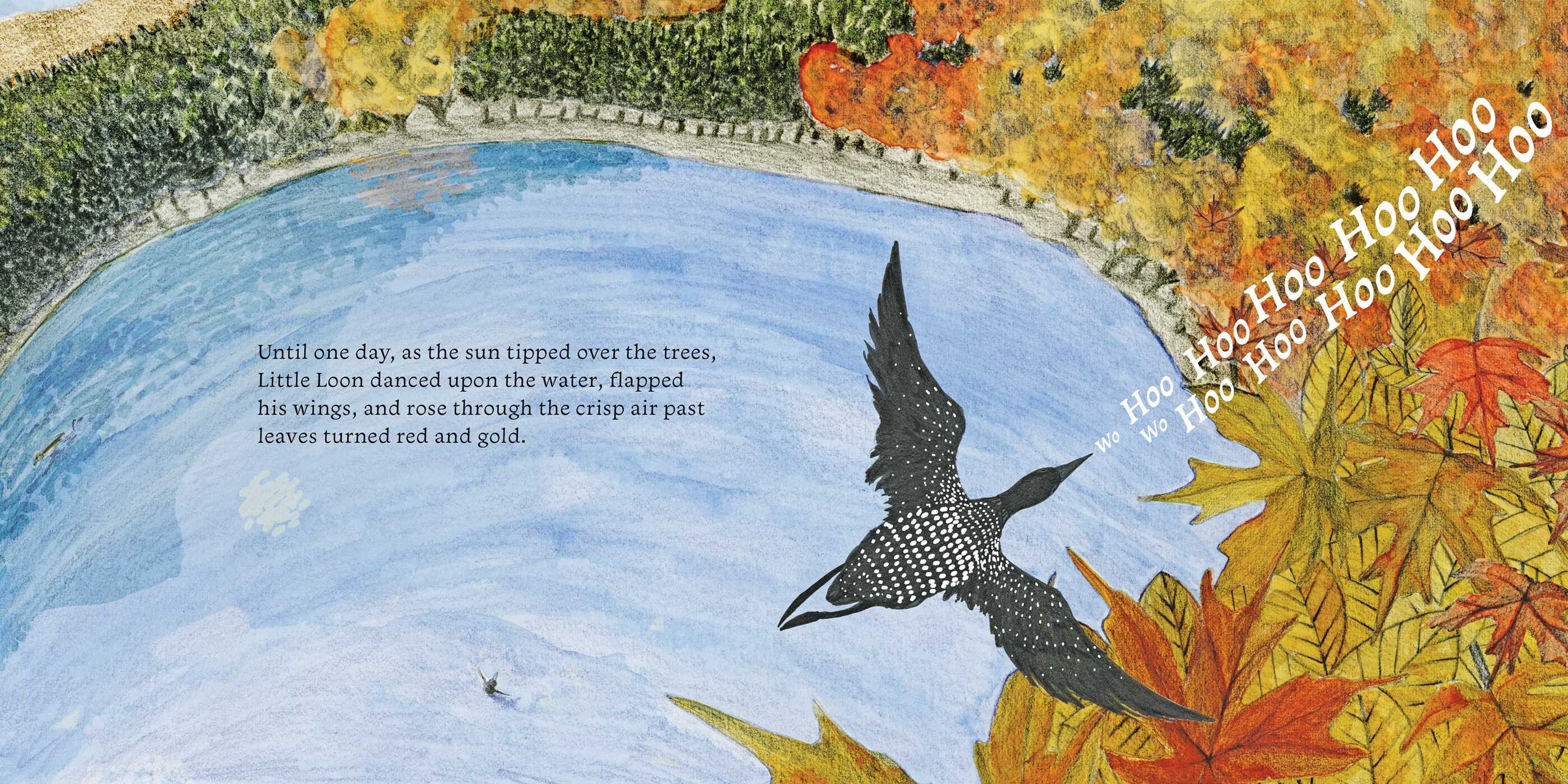 Little Loon Finds His Voice