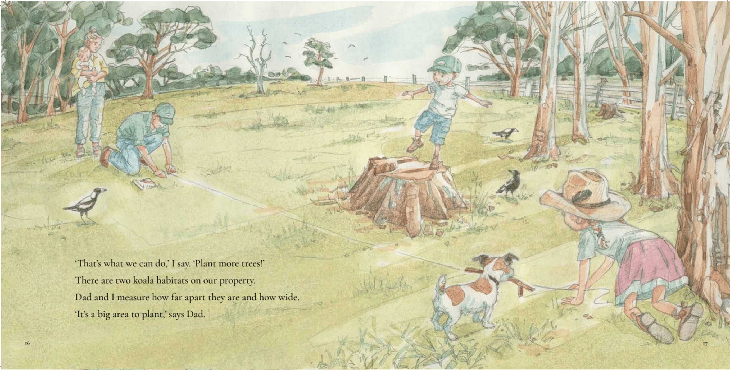 One Koala, One Hundred Trees