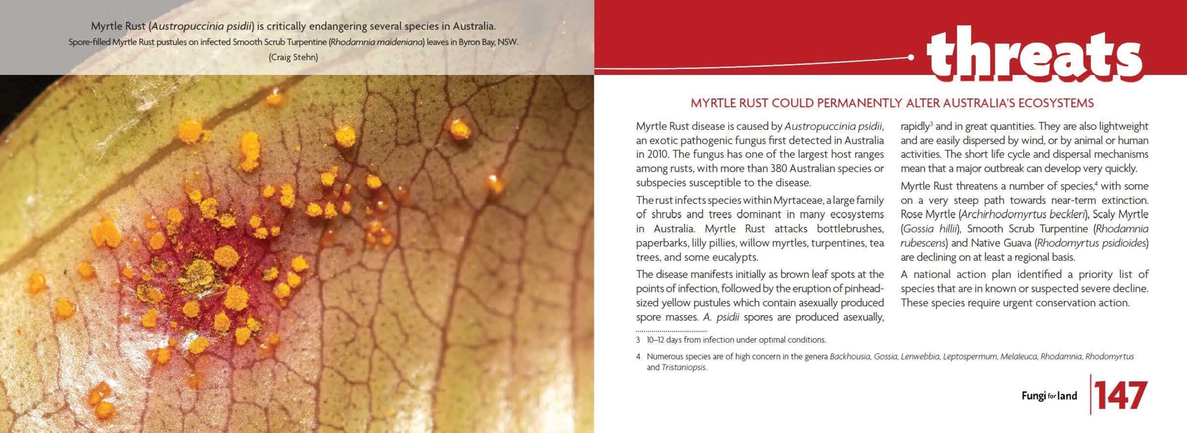 Fungi for Land