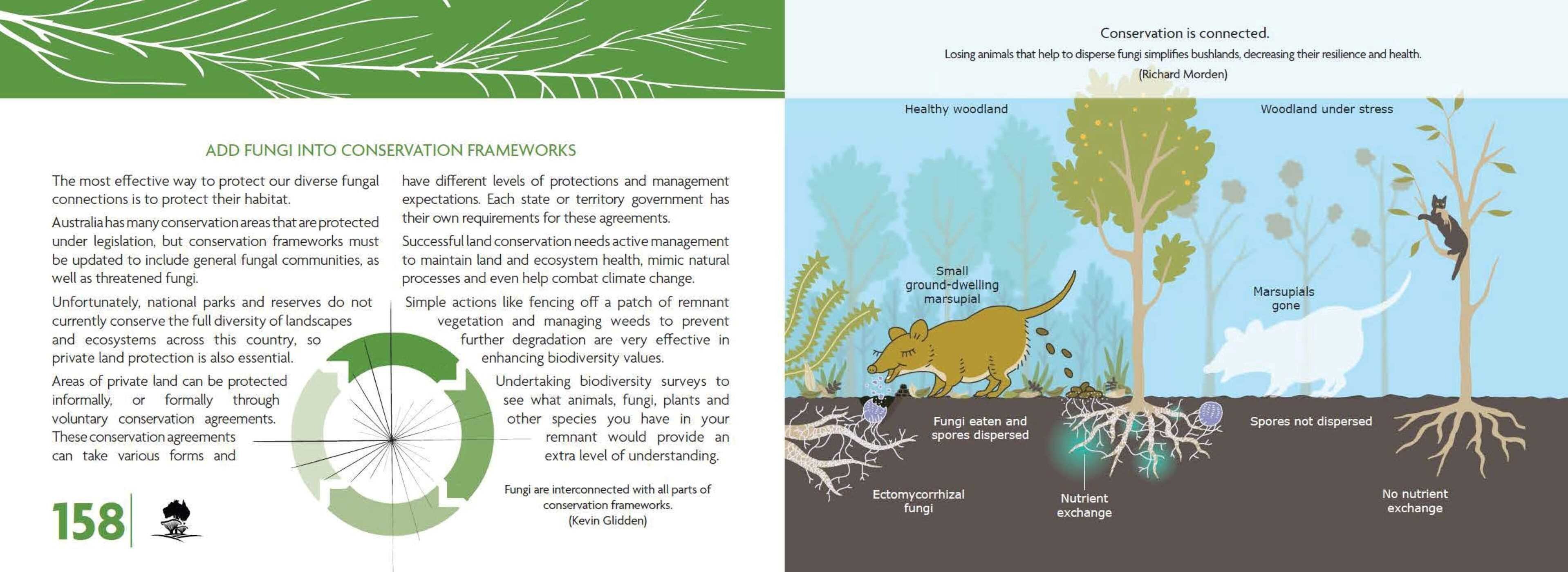 Fungi for Land