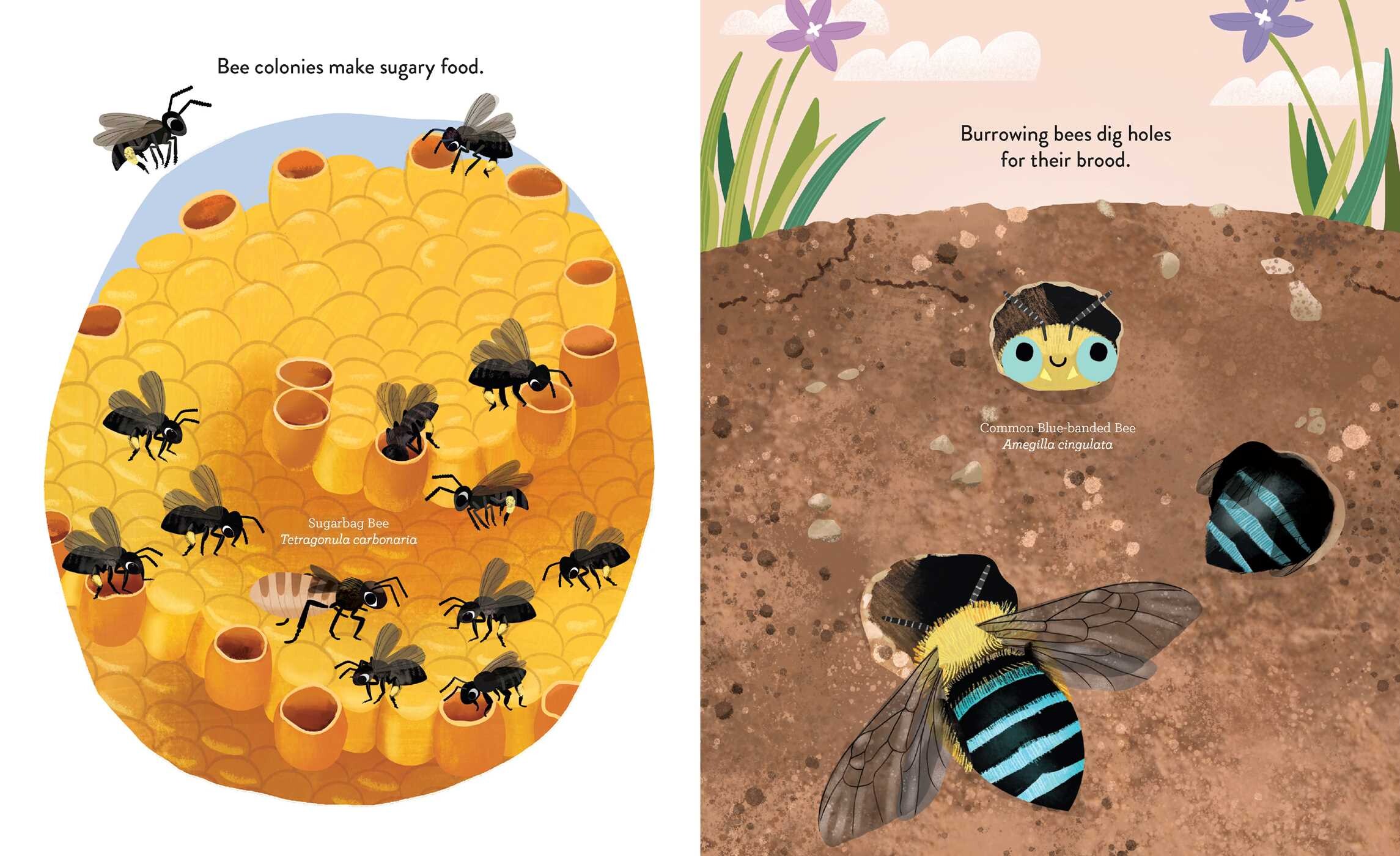 Ingenious Insects